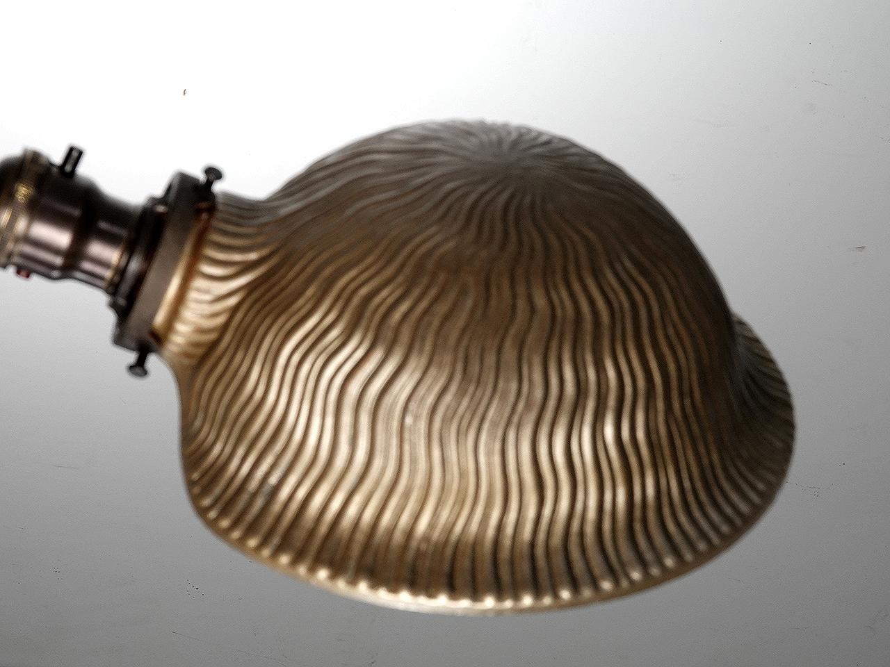 This is an amazing pair of Industrial work lamps. The 9 inch wide mirrored X-ray shades have a wavy pattern and unique turtle-back shape. Also the disc jointed articulating arms are quite different. The look is strikingly different and we have a