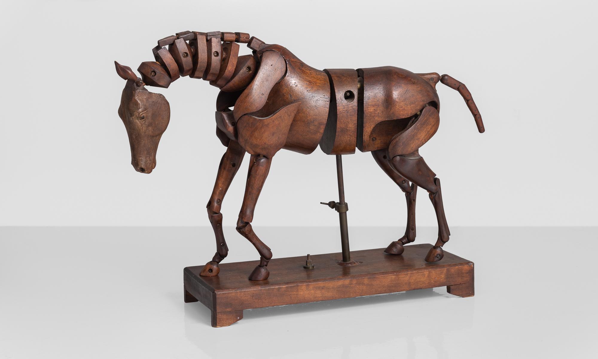 articulated horse model