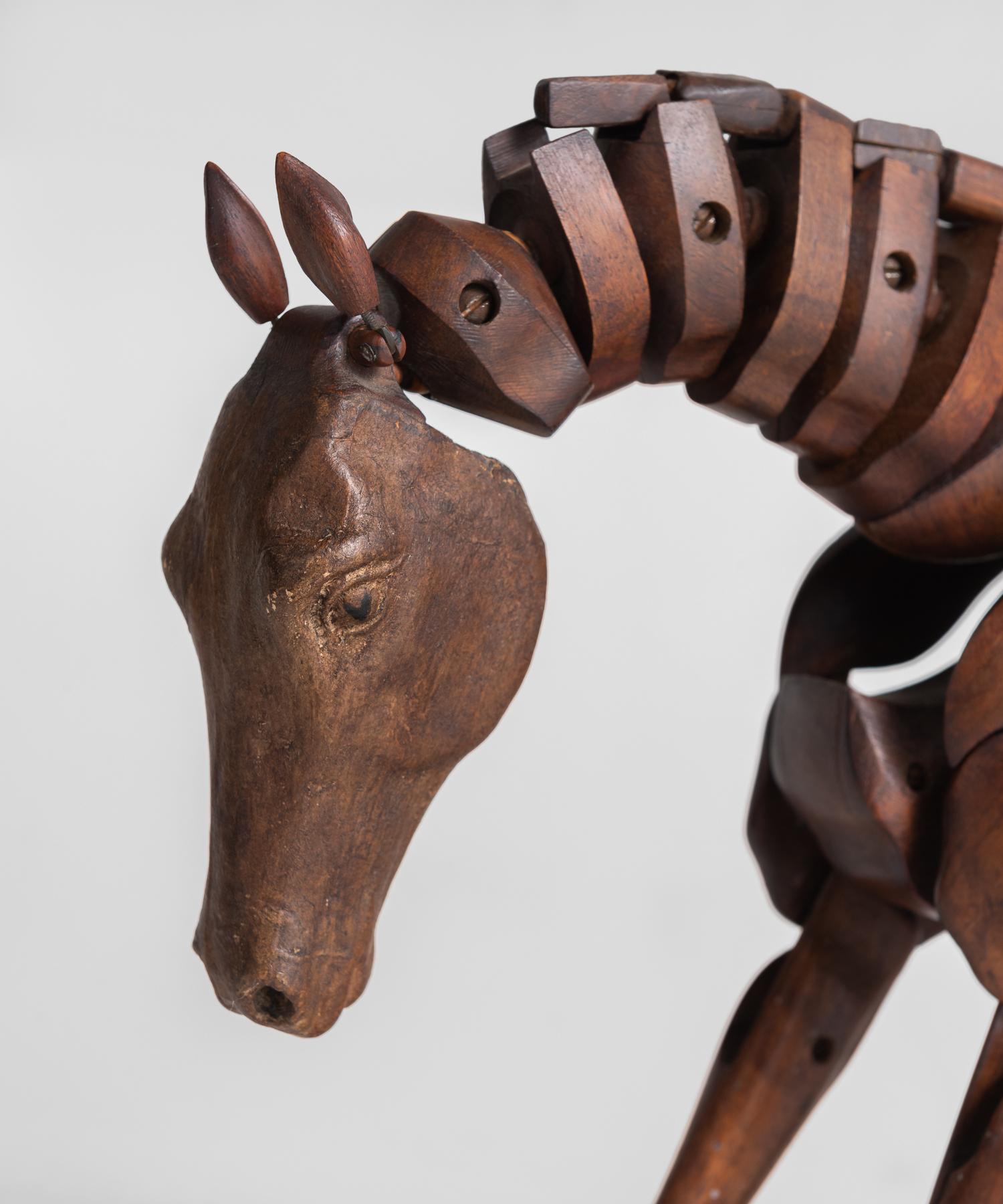 artist horse model