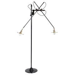 Articulating and Adjustable Two-Arm O.C. White Floor Lamp Customized