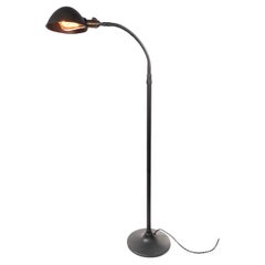 Antique Articulating Gooseneck Reading Floor Lamp