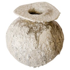 Artefacts Vaisseau lunaire I
