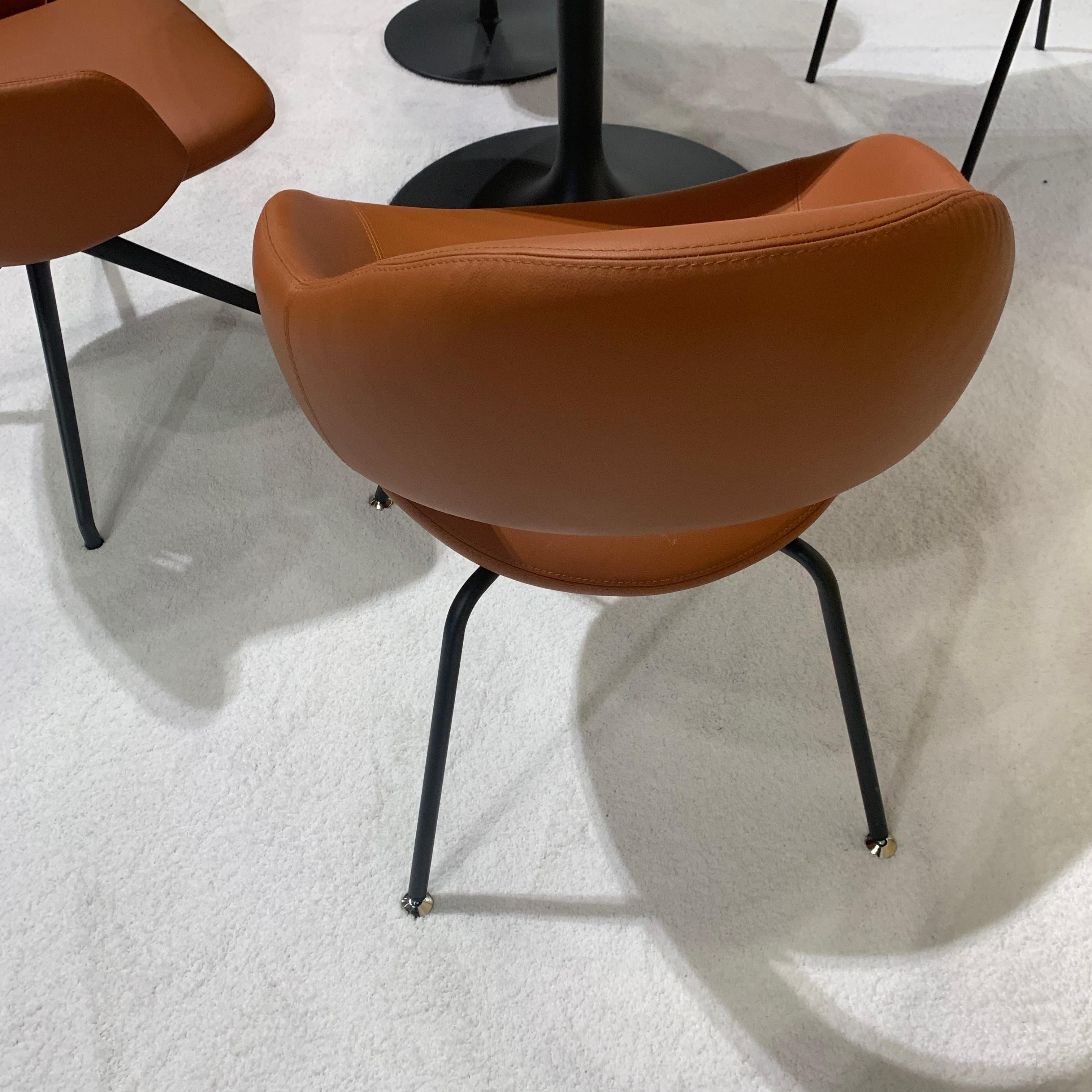 Extremely comfortable dining and meeting chair designed by René Holten. A model that acquired its name because its profile resembled that of the feared predator. However, you have nothing to fear from this shark. On the contrary. It’s an extremely
