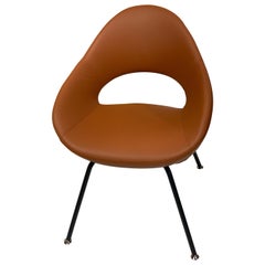 Artifort Leather Shark Chair by Rene Holten