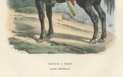 Artillerie à Cheval, Imperial Guard Cavalry, Napoleonic Military Print 1843