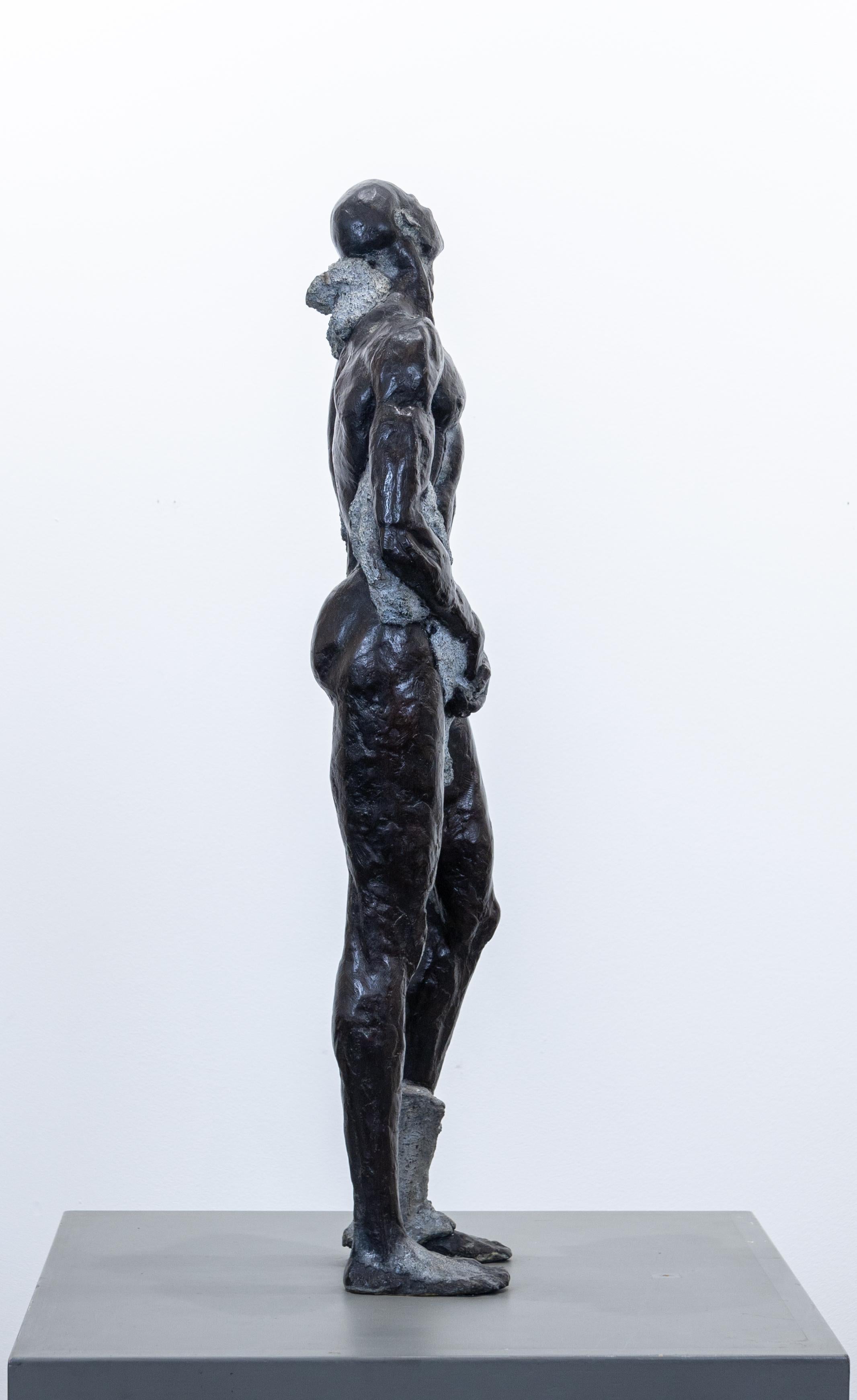 Sculpture en bronze « Emerging First Man » ( Premier homme émergent) - Figuratif masculin, coquille en céramique, résine - Or Nude Sculpture par Artis Lane