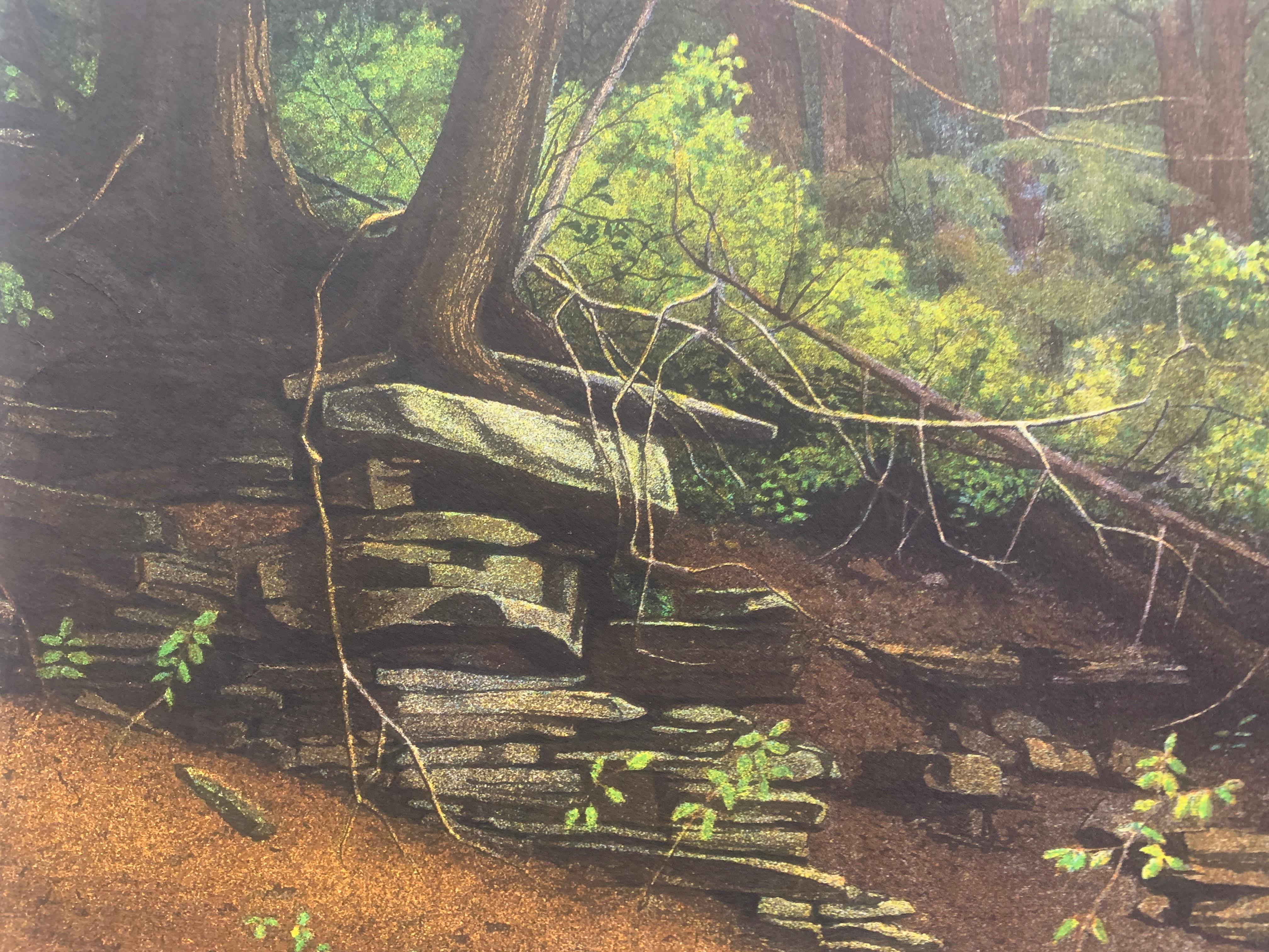 Rock Formation - Black Figurative Print by Artis Reigo