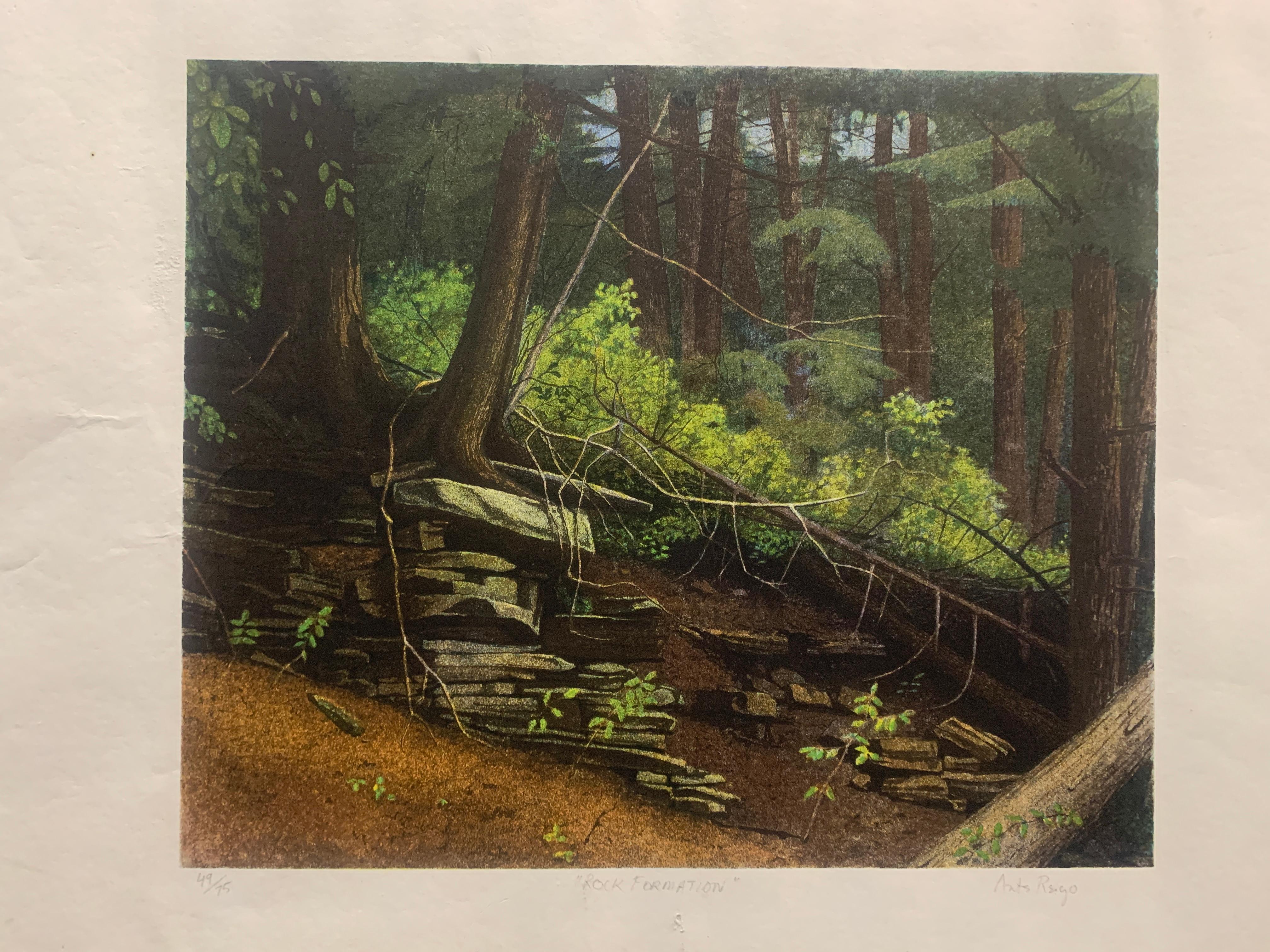 Artis Reigo Figurative Print - Rock Formation