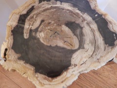 Artisan Crafted Petrified Wood and Chrome Table