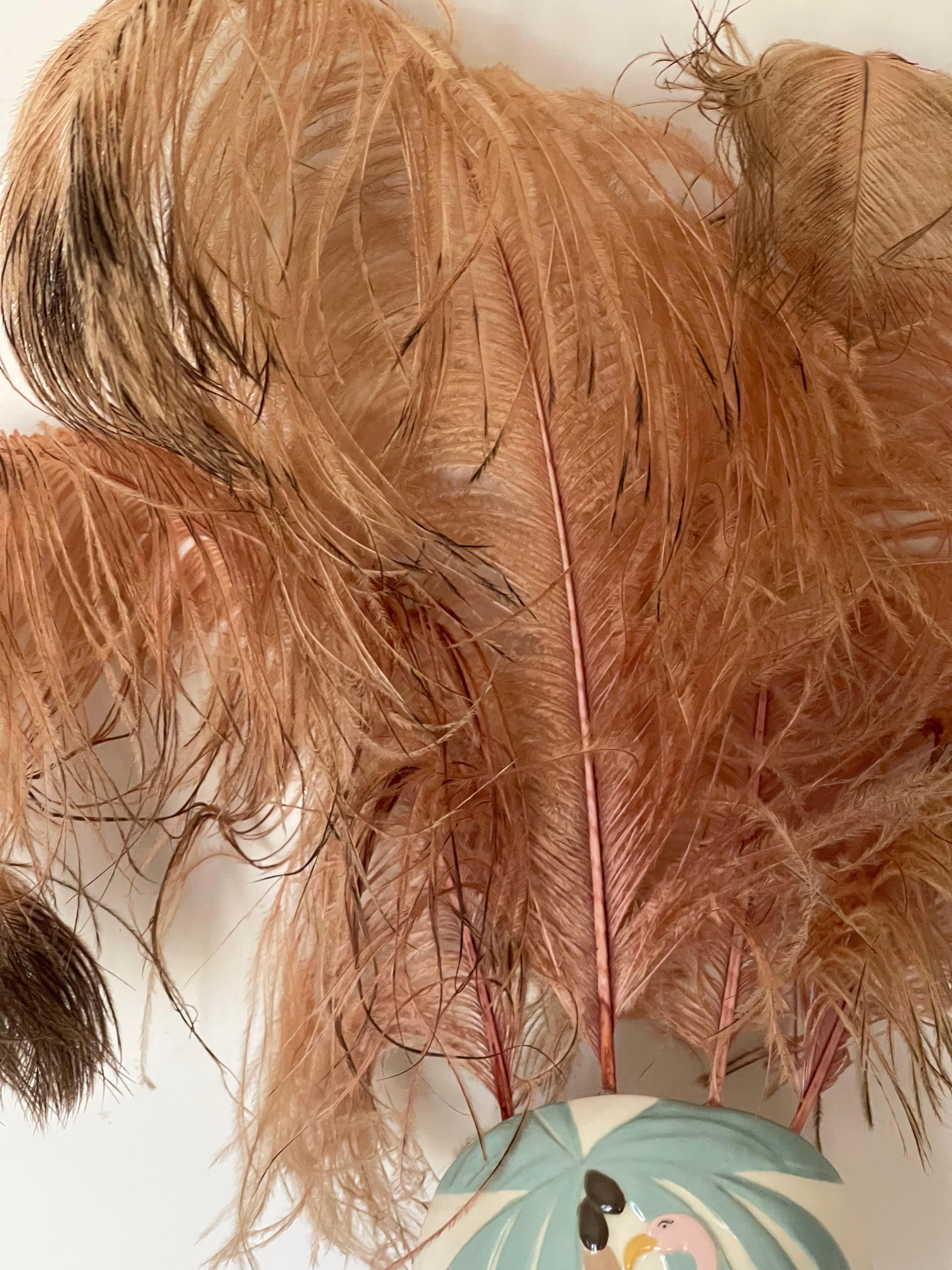 Madk de Pared Artesano de Florida con Plumas de Flamingo y Avestruz Estadounidense en venta