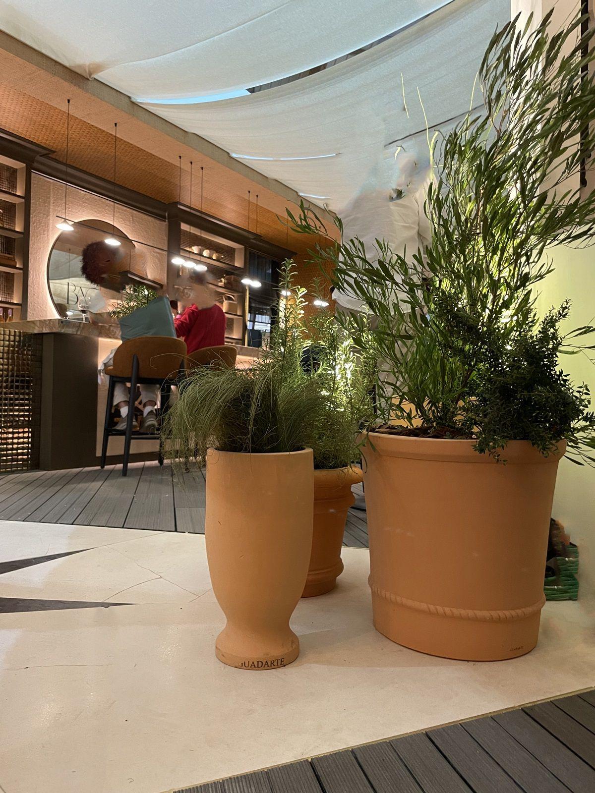 Jardinera Artesana de Terracota Natural Diseño Clásico Acabado Personalizado Disponible en venta 4
