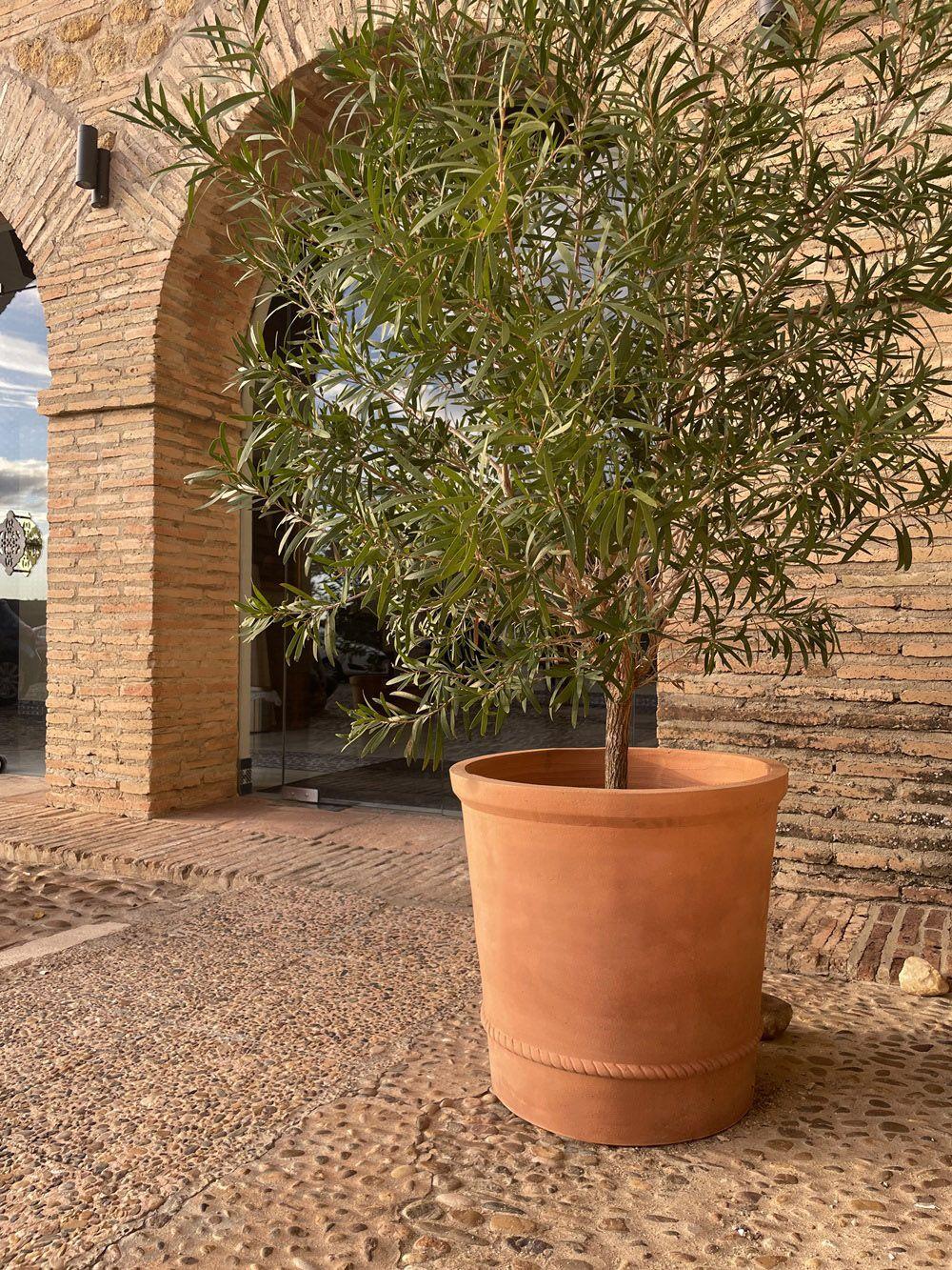 Jardinera Artesana de Terracota Natural Diseño Clásico Acabado Personalizado Disponible en venta 5