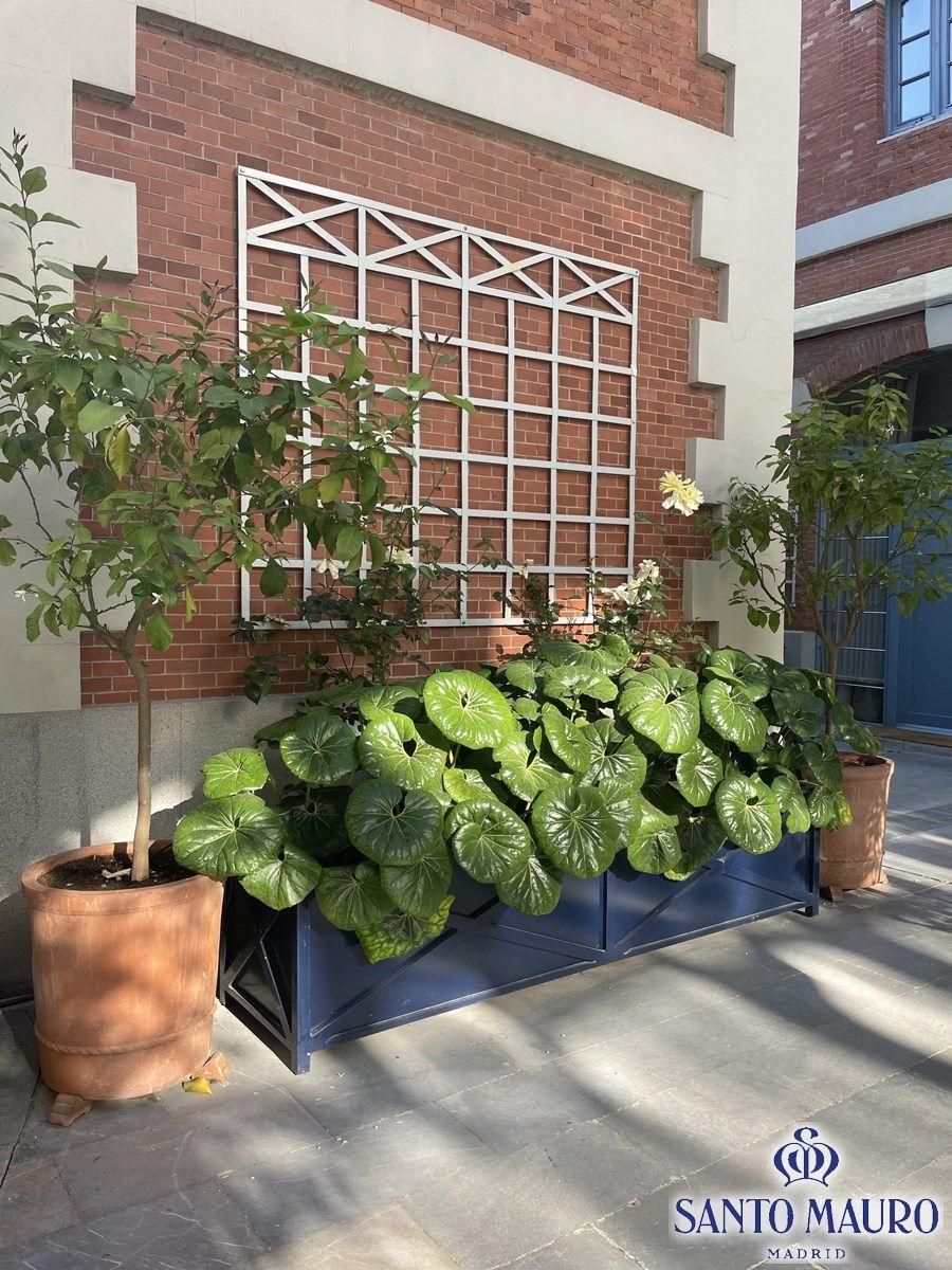 Jardinera Artesana de Terracota Natural Diseño Clásico Acabado Personalizado Disponible en venta 7