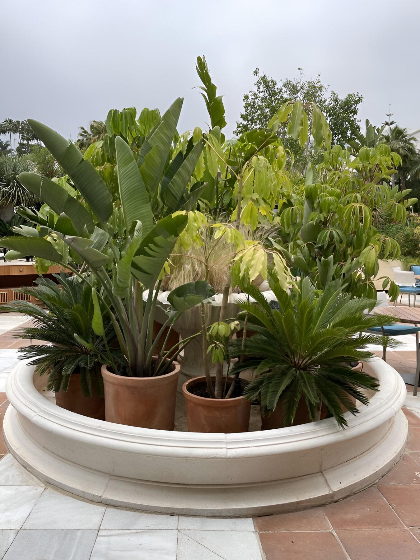 Jardinera Artesana de Terracota Natural Diseño Clásico Acabado Personalizado Disponible Siglo XXI y contemporáneo en venta