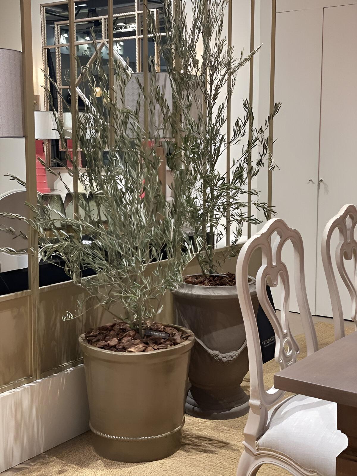 Jardinera Artesana de Terracota Natural Diseño Clásico Acabado Personalizado Disponible Arcilla en venta