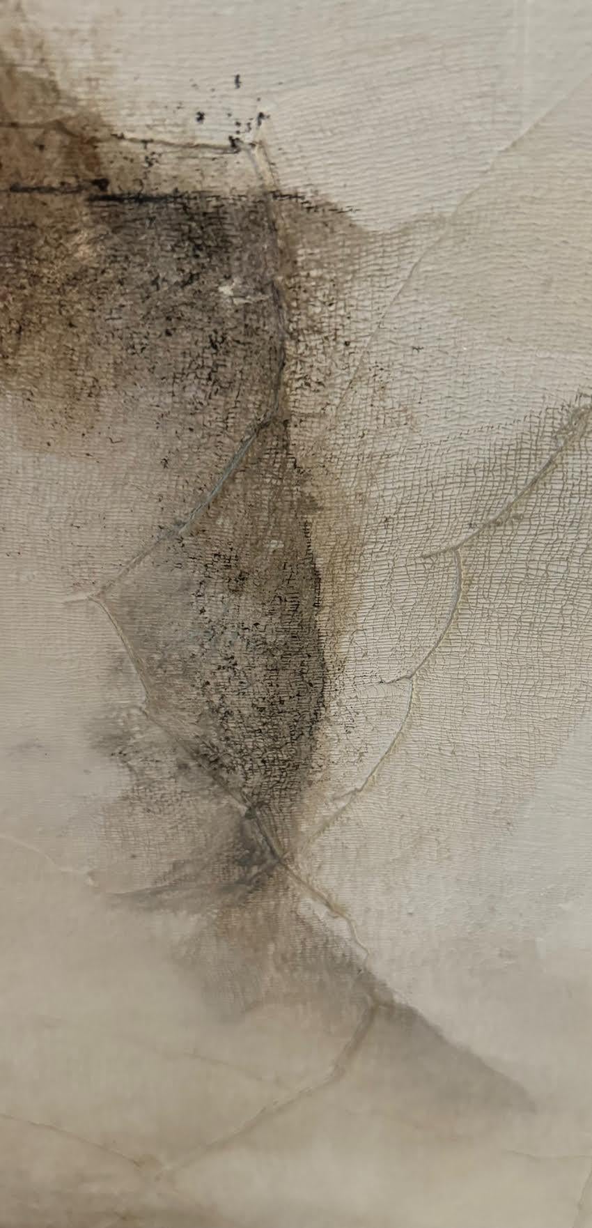 Belga Artista Diane Petry Pittura acrilica su tela, Belgio, Contemporanea in vendita