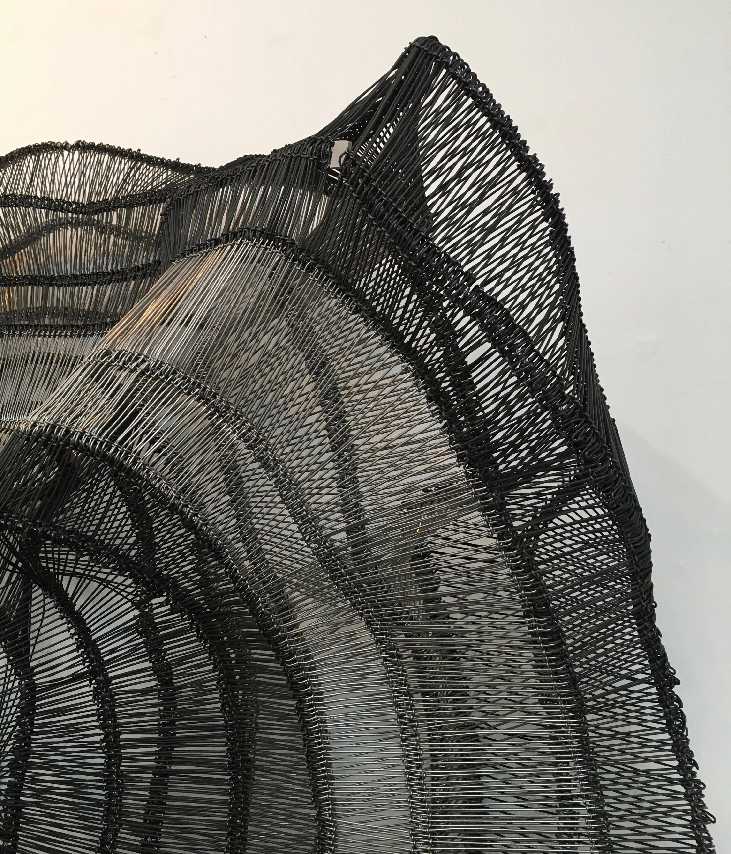 Artist Eric Gushee Emergence Series Woven Wire Wall Sculpture 4