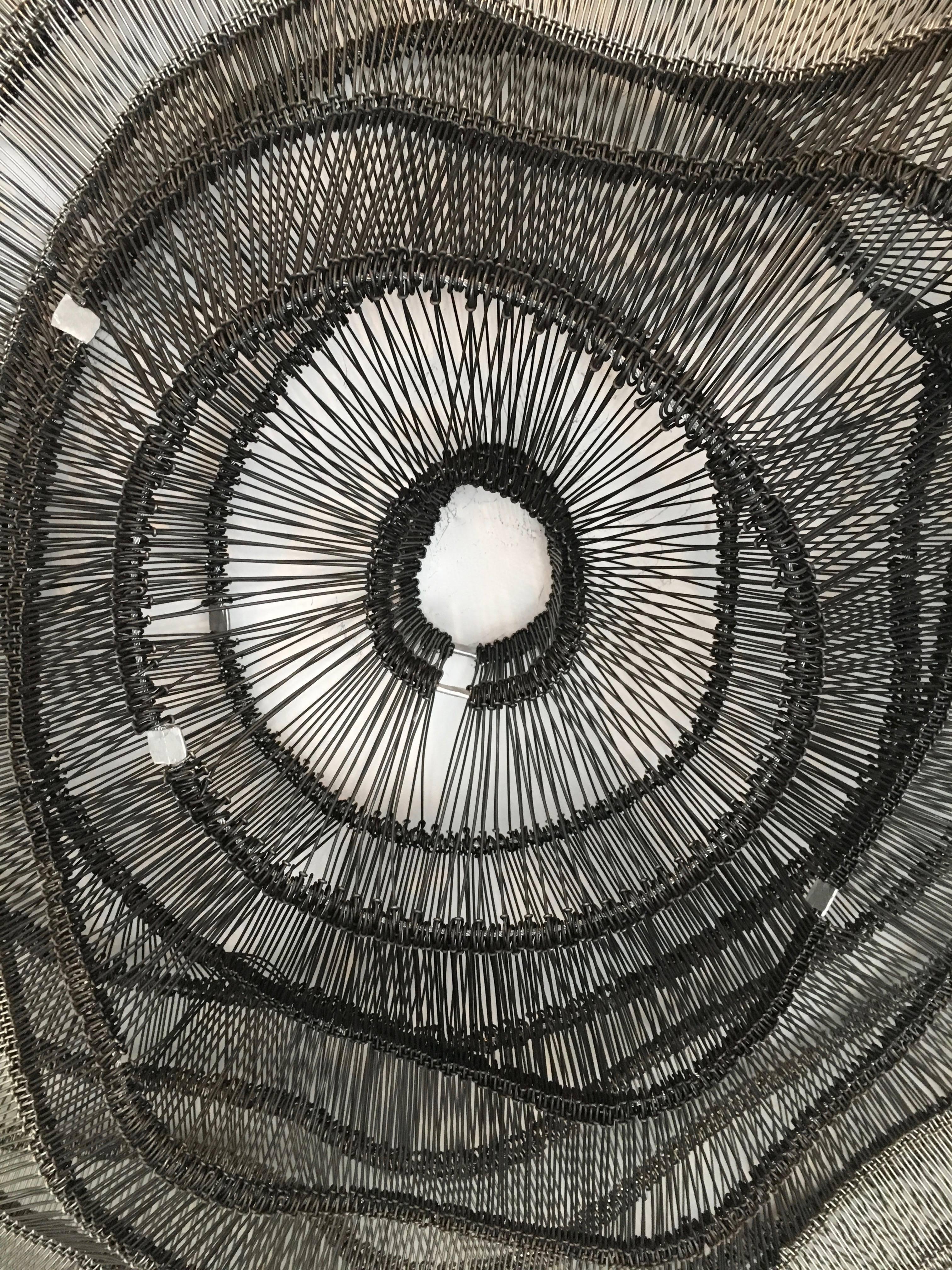 American Artist Eric Gushee Emergence Series Woven Wire Wall Sculpture