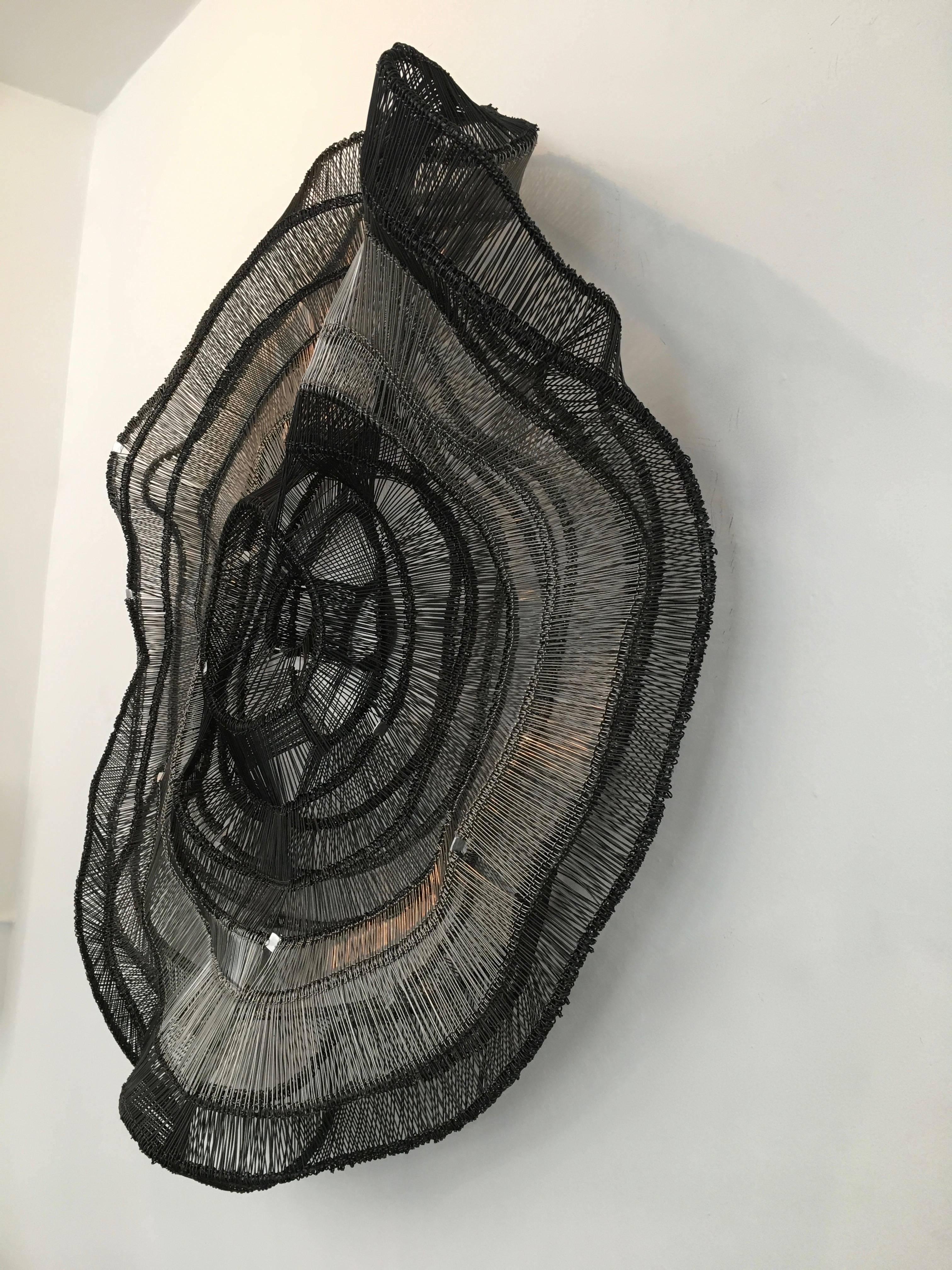 Artist Eric Gushee Emergence Series Woven Wire Wall Sculpture 1