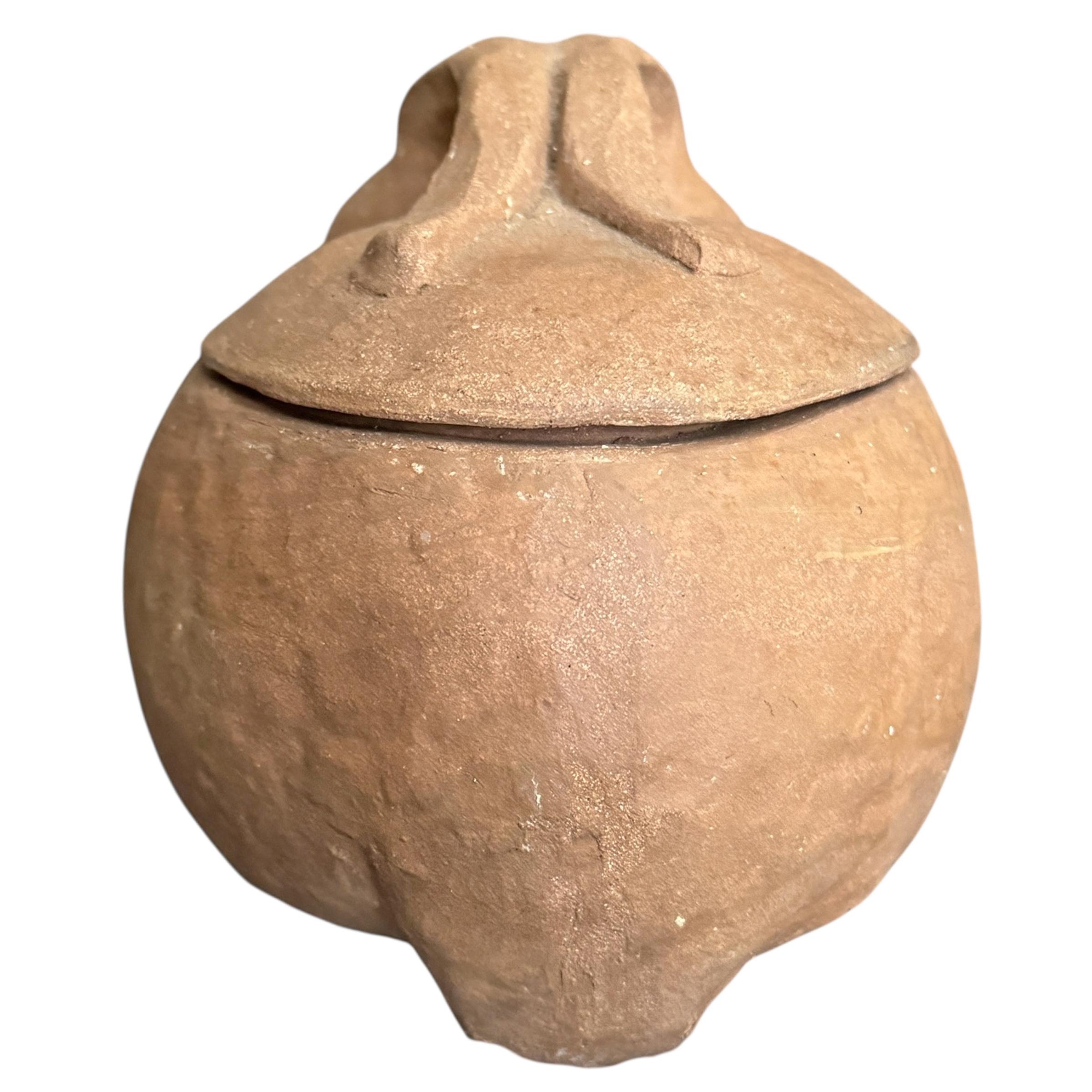 XX secolo Scatola per conigli in terracotta fatta da un artista in vendita