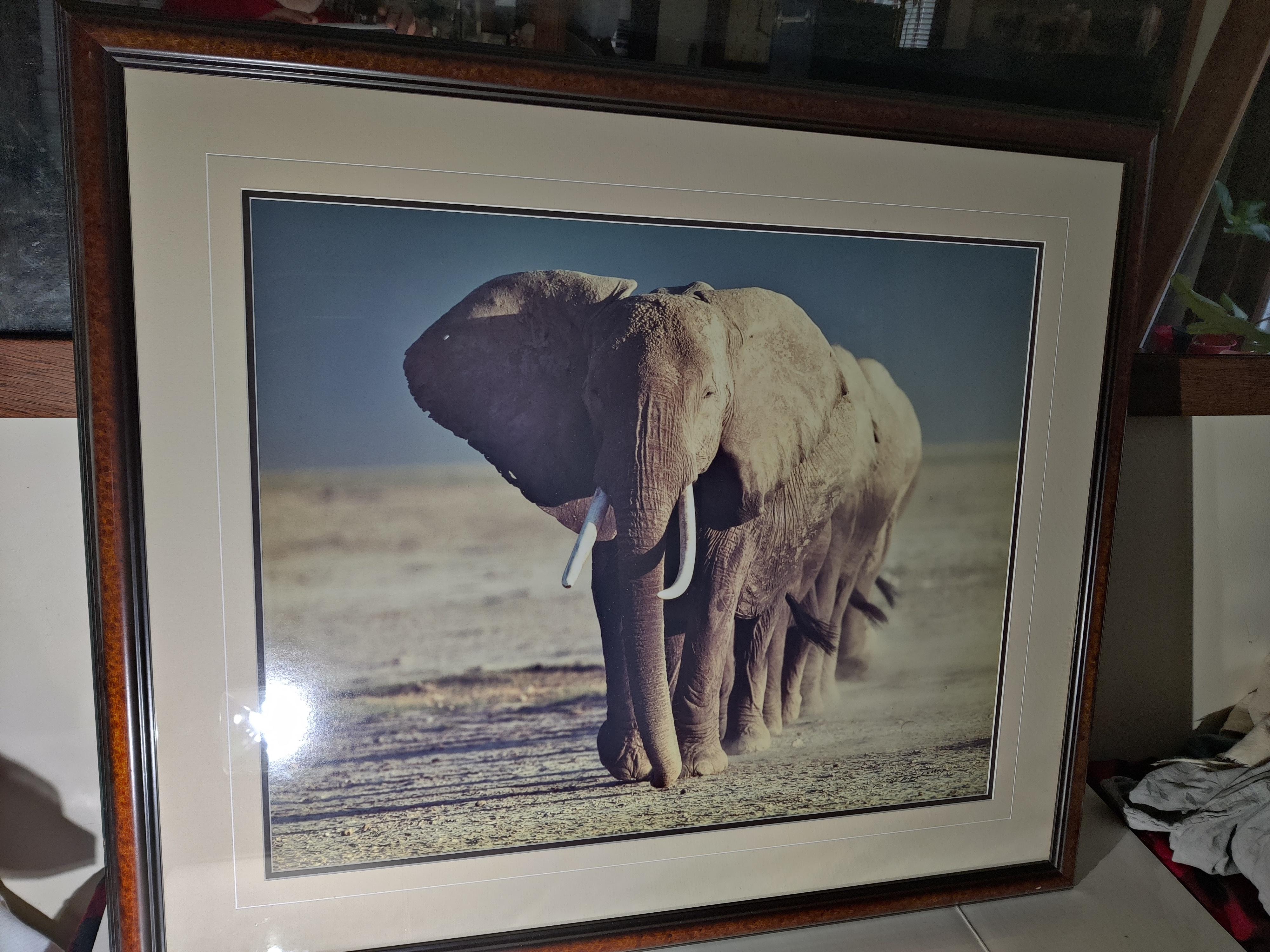 Artist Signed and Numbered Photo of  Elephants Crossing Kenya's Amboseli Crossing National Park
Thomas D. Mangelsen Artist, signed 340/950, limited, out of print photo 
Wood framed, double mat
Image dimensions H 23.75 x W 29.5
Artist information on