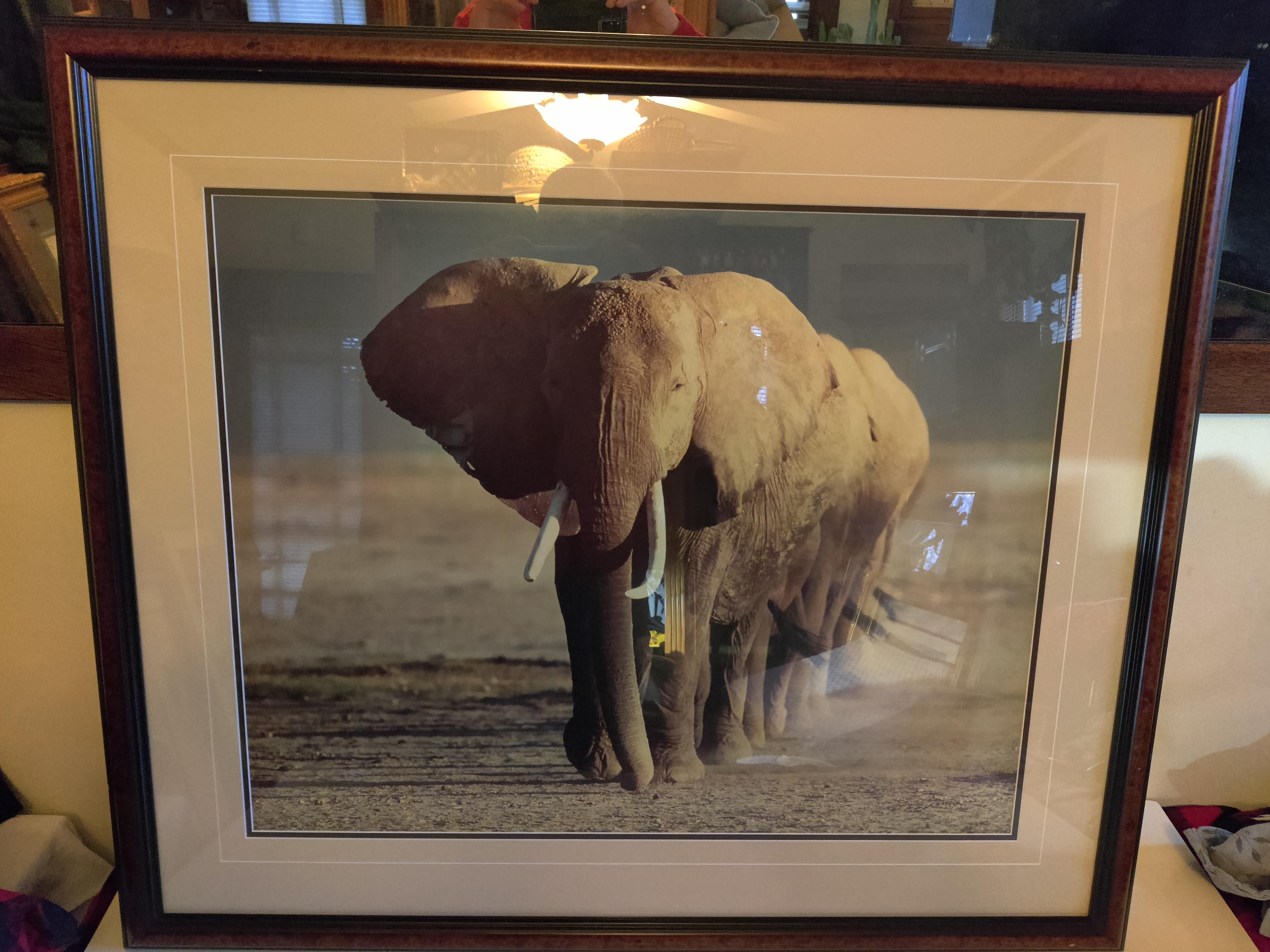 American Artist Signed and Numbered Photo of  Elephants  For Sale