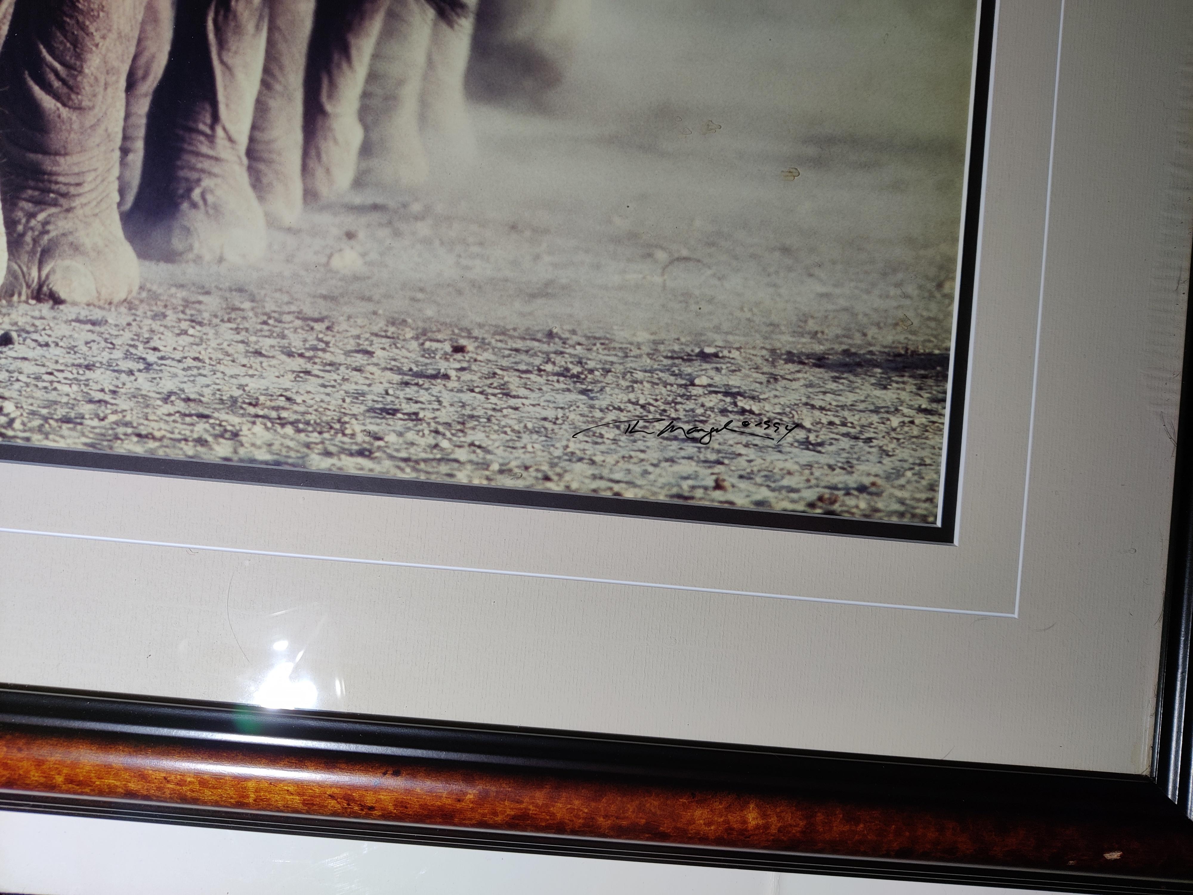 Wood Artist Signed and Numbered Photo of  Elephants  For Sale