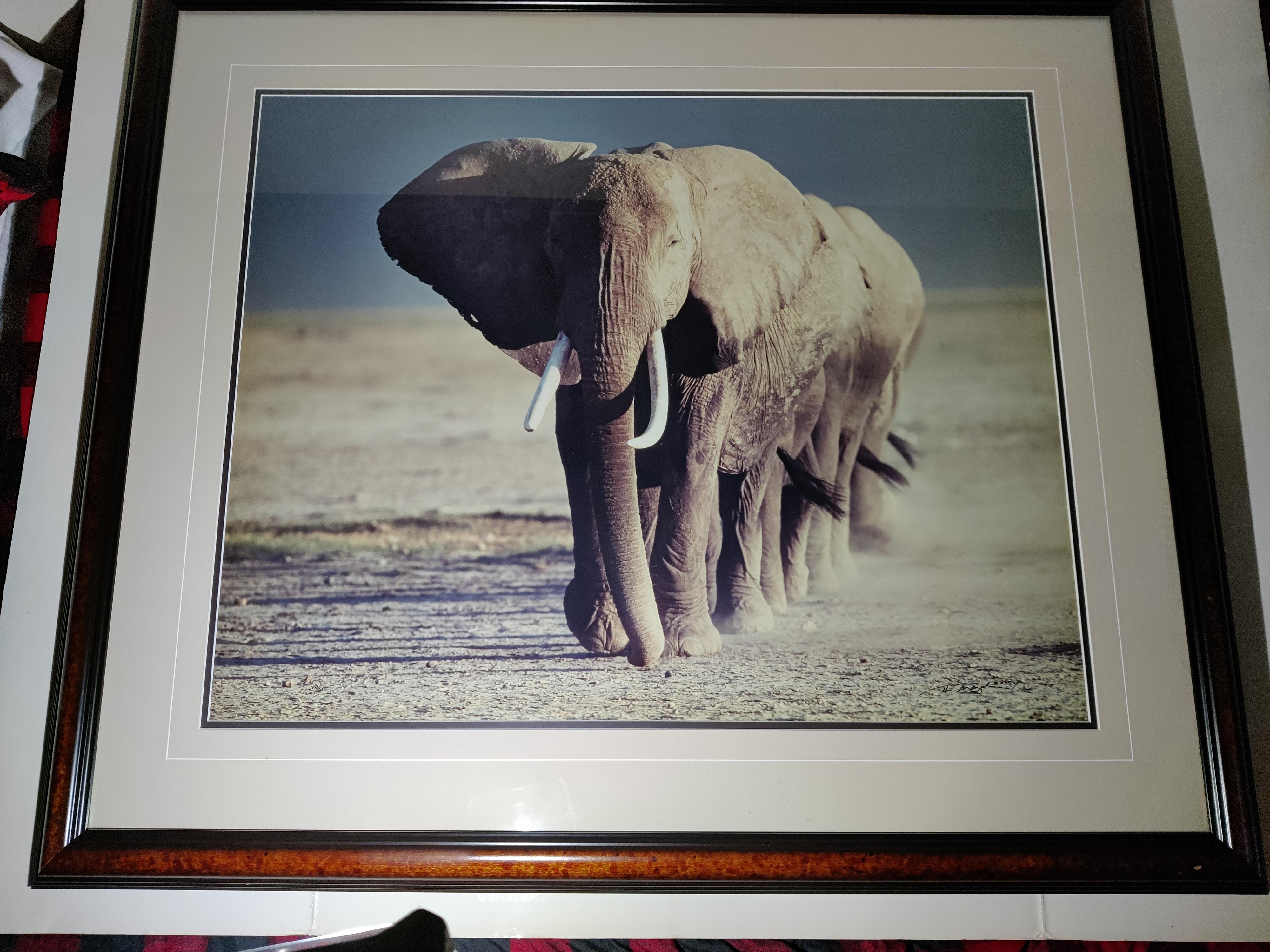 Artist Signed and Numbered Photo of  Elephants  For Sale 2