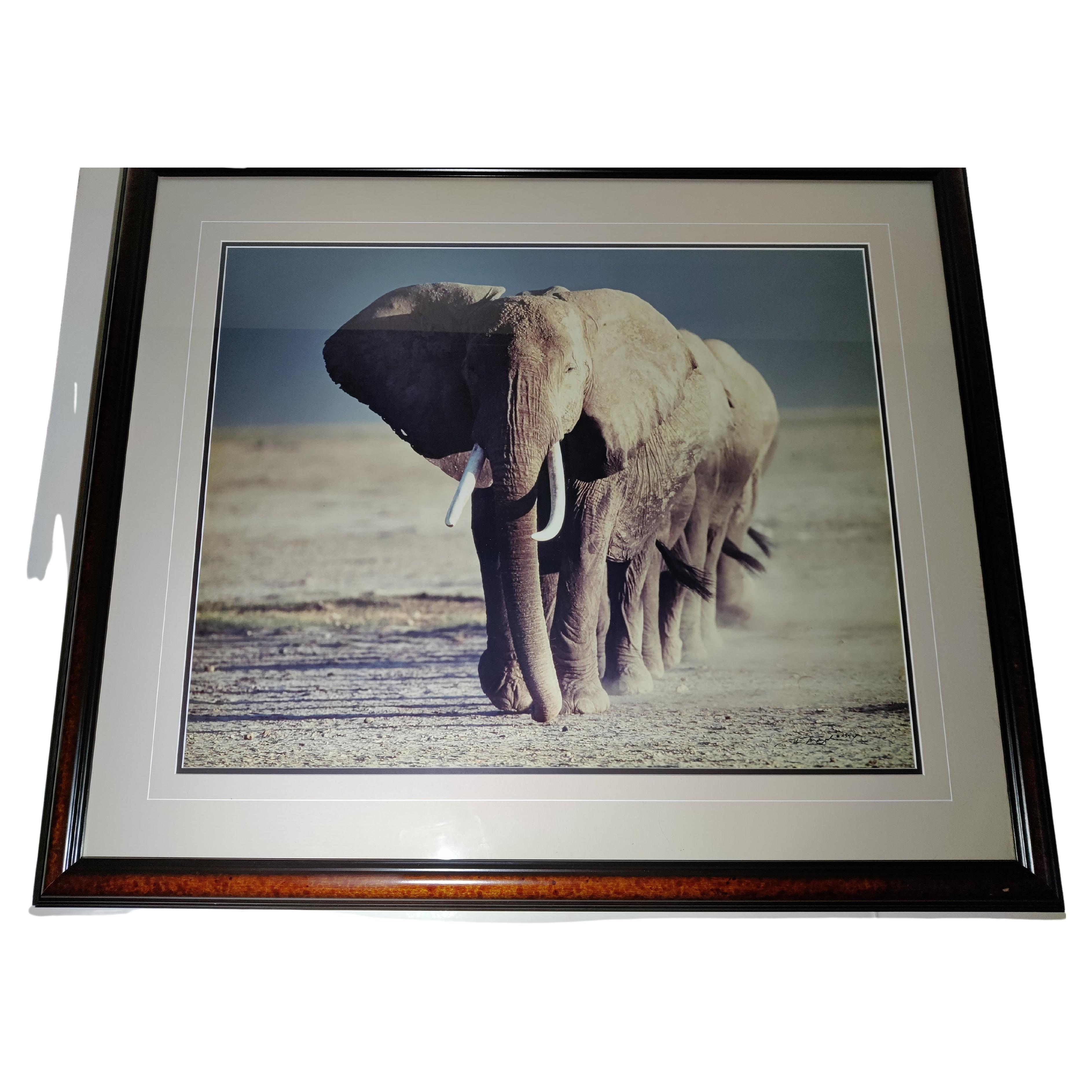Artist Signed and Numbered Photo of  Elephants  For Sale