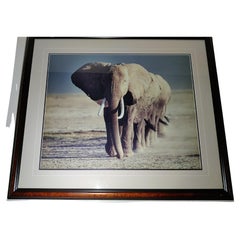 Vintage Artist Signed and Numbered Photo of  Elephants 