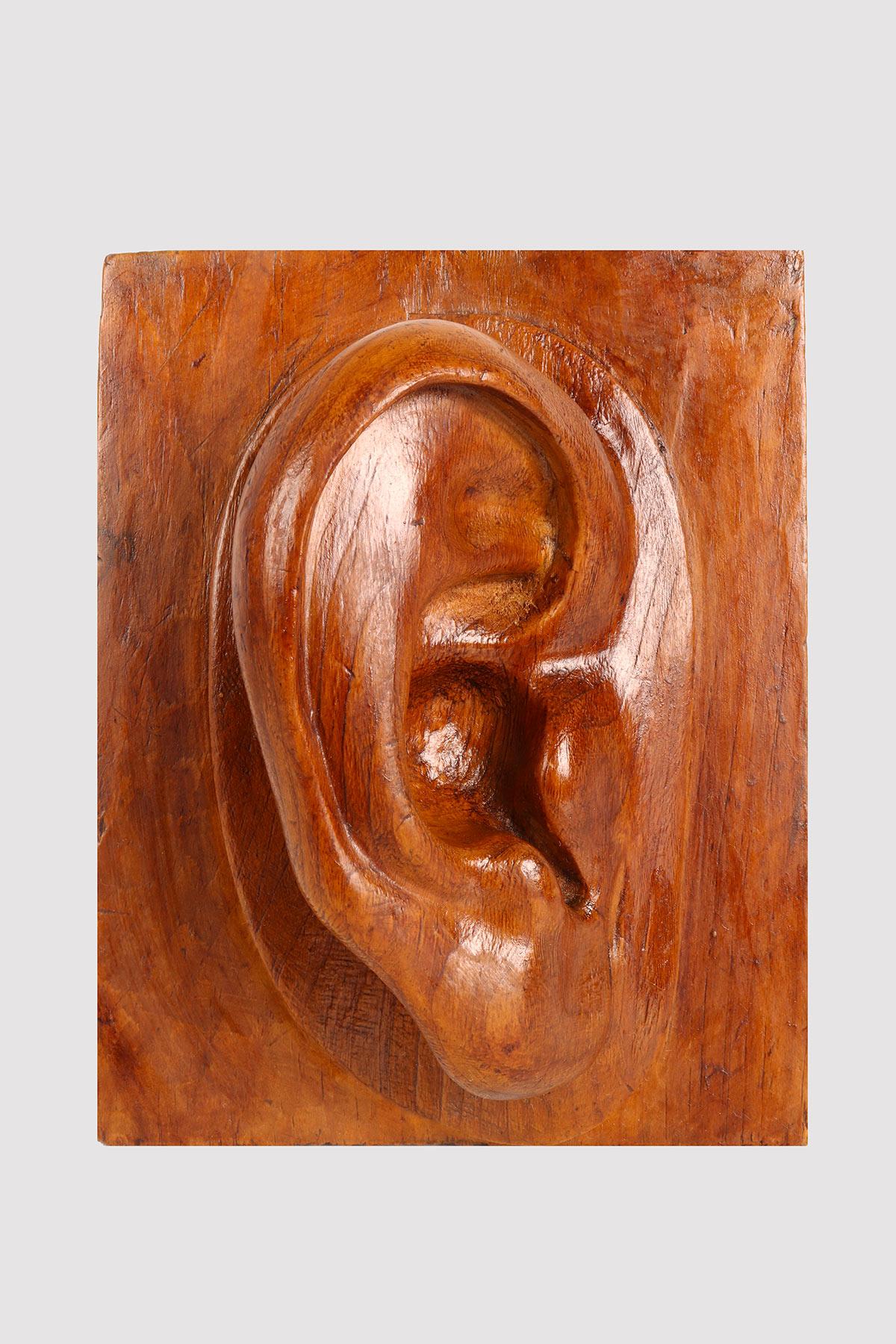 Artistic atelier sculpture depicting a ear. Made of fruit wood, the sculpture has a smooth base with an irregular geometric edge, on which is the artist's proof of refined workmanship and realism, finished down to the smallest detail. Not like in