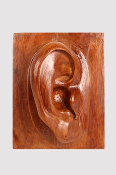 Artistic atelier sculpture depicting a ear, Germany 1902.