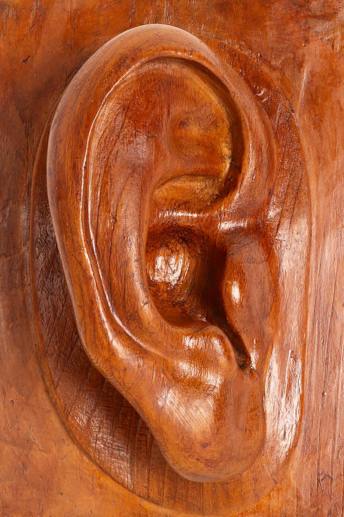 Artistic Atelier Sculpture Depicting a Ear, Germany 1902 For Sale 3
