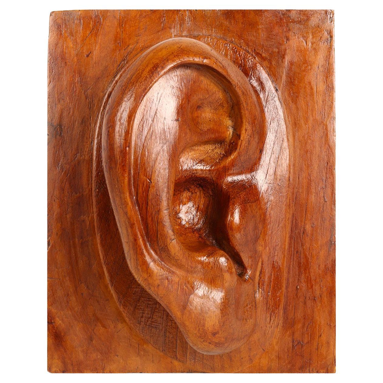 Artistic Atelier Sculpture Depicting a Ear, Germany 1902 For Sale at 1stDibs