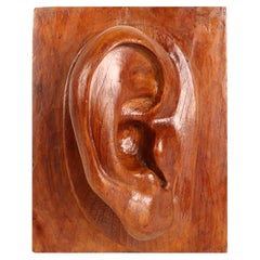 Artistic atelier sculpture depicting a ear, Germany 1902.