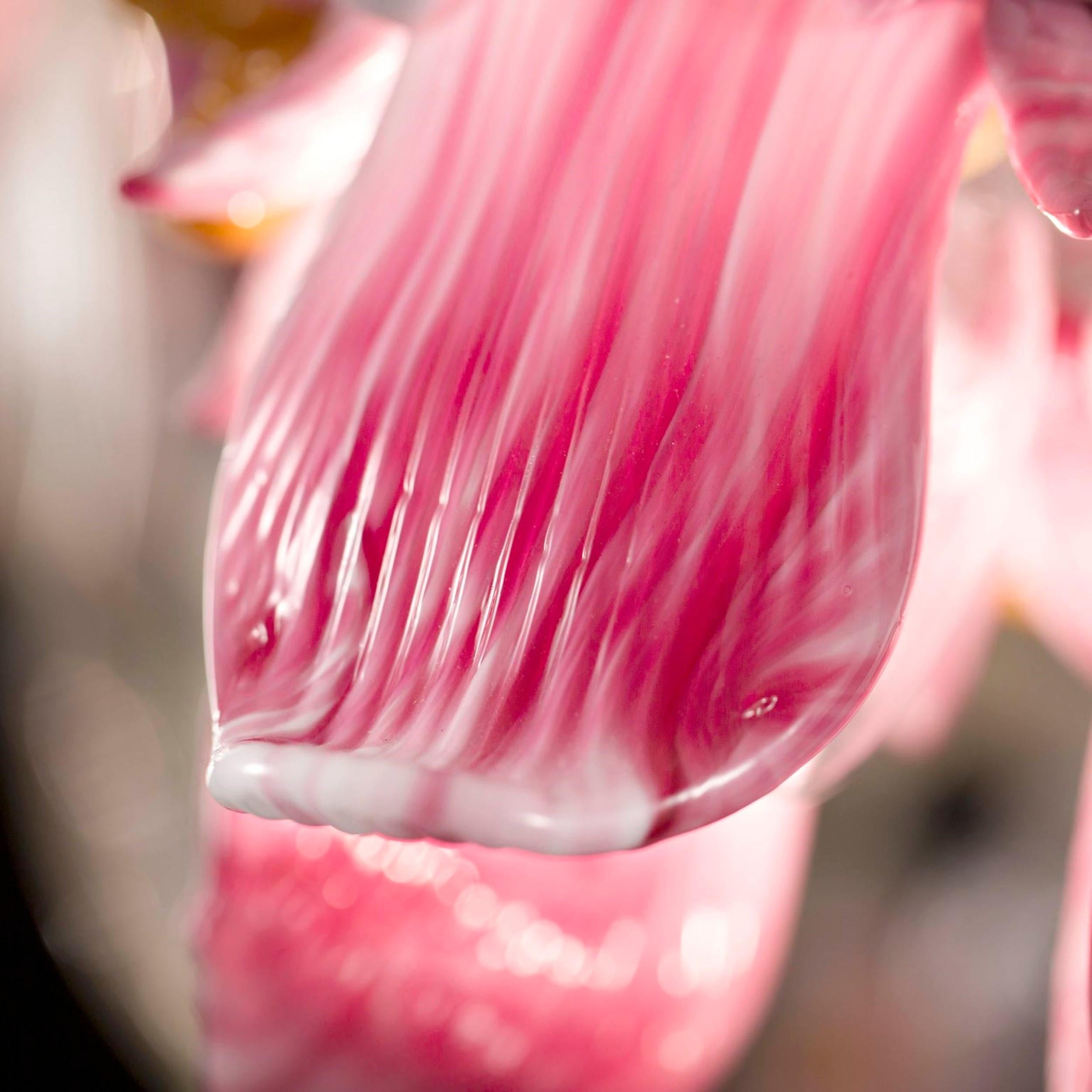 Italiano Lampadario artistico a 6 bracci Iris in vetro di Murano chiaro-oro-rosa di Multiforme in vendita