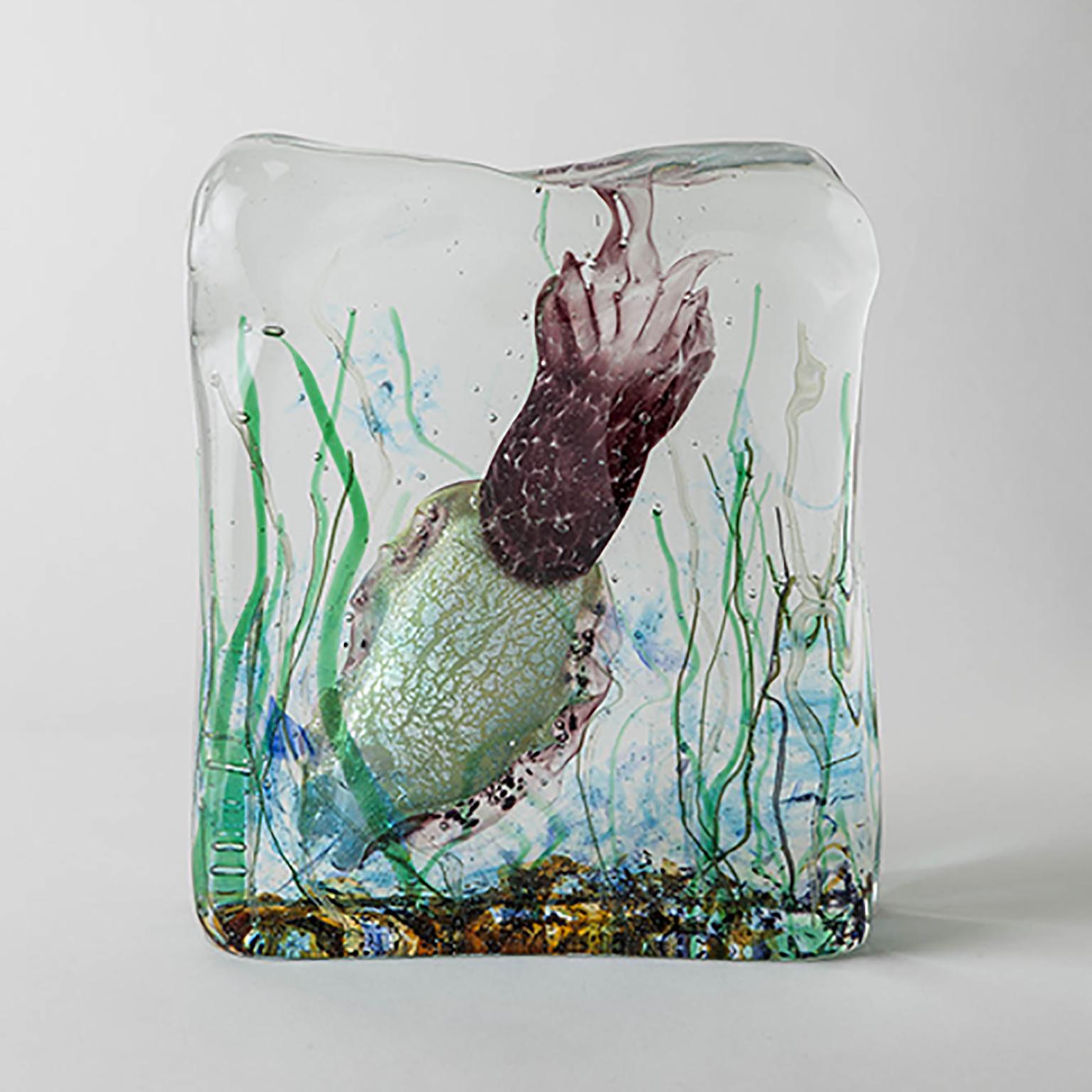 Fait main Aquarium de Murano fait à la main par Roberto Beltrami en vente