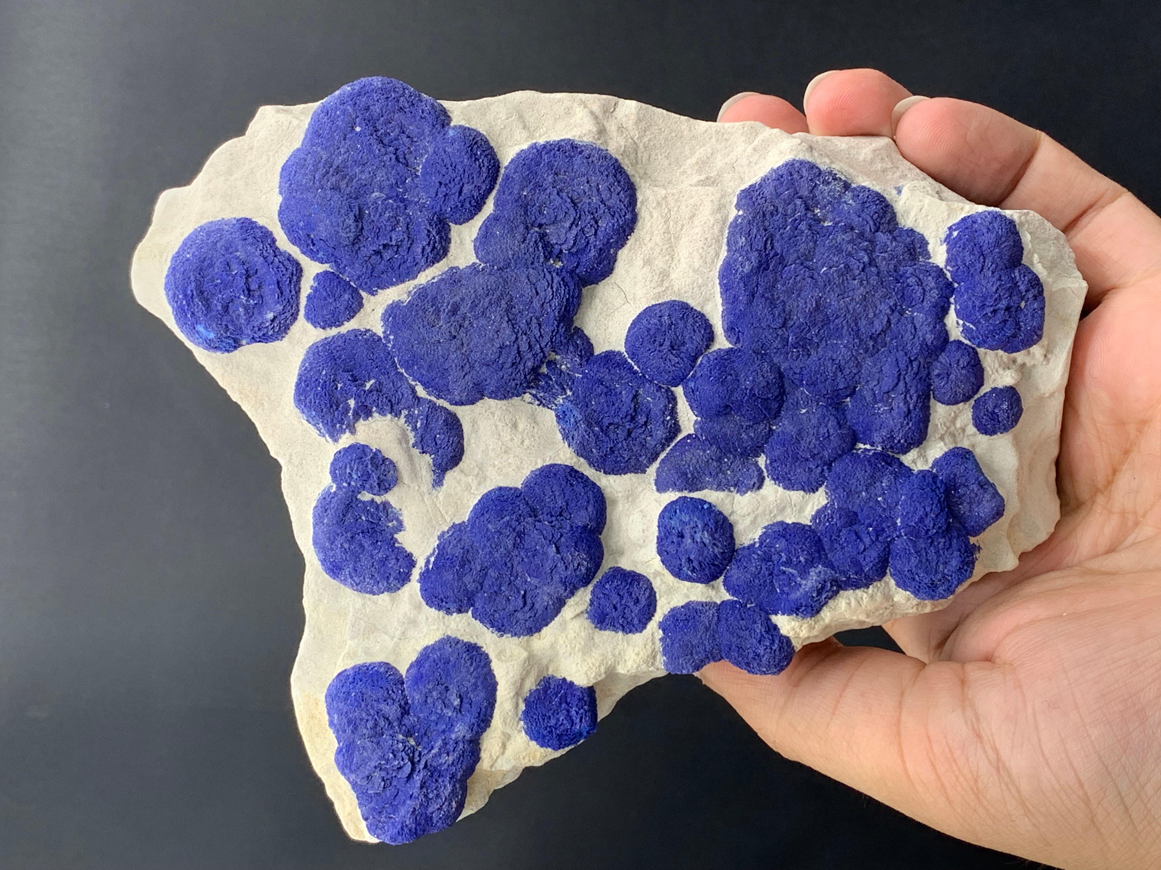 Informazioni sul prodotto: 
Esemplare: Cristalli solari di azzurrite su matrice di caolinite
Peso: 626 grammi
Dimensioni: H. 15 x L. 12 x P. 3,5 cm
Località: Miniera di rame di Malbunka, Contea di Aranda occidentale, Australia
Trattamento: