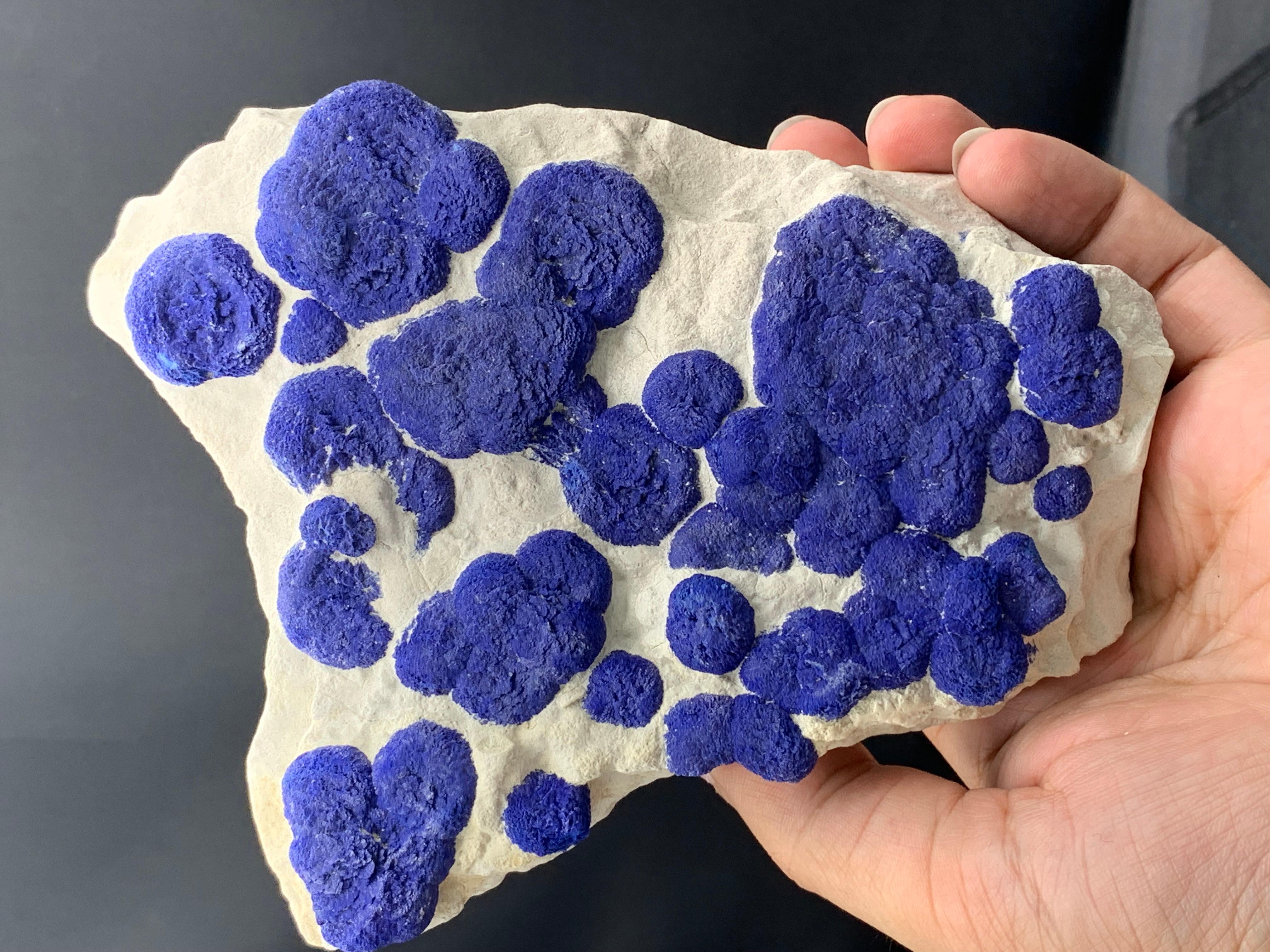 Stile Adam Pezzo artistico di cristalli di sole lazurite su matrice di caolinite dall'Australia in vendita