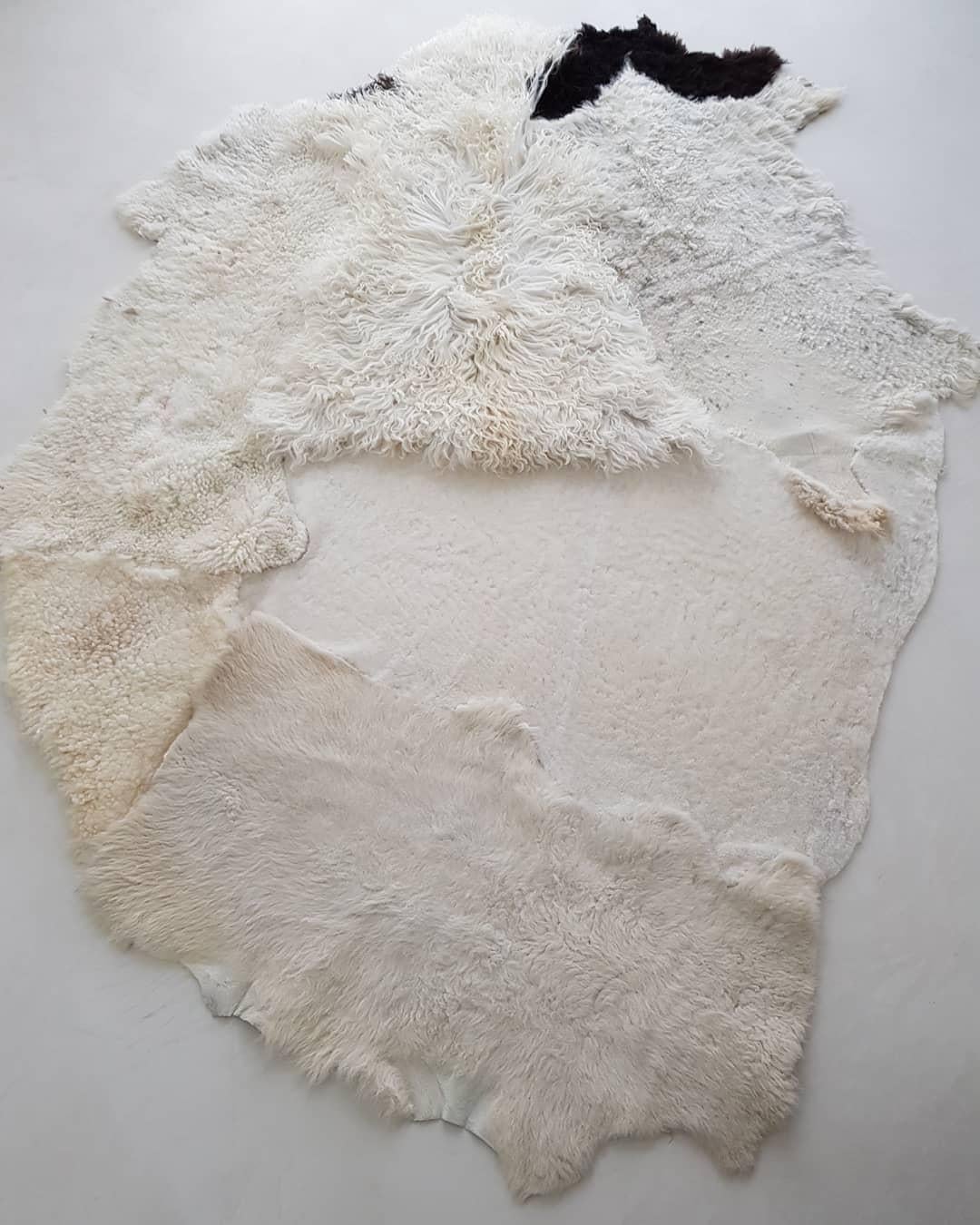 Luxury Natural Shape Hand-Dyed European Sheepskin Artistic Rug by Carine Boxy For Sale 9