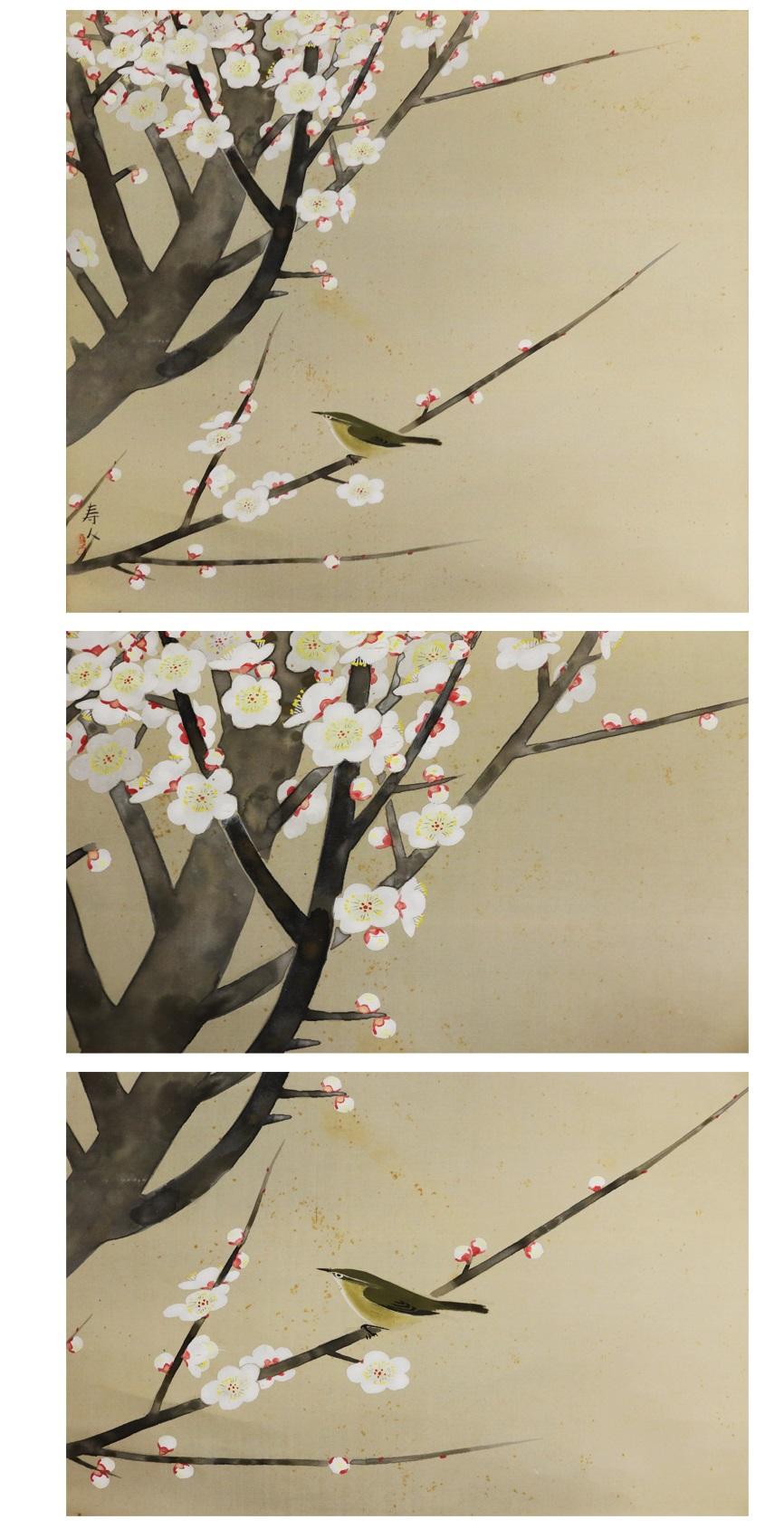 Japonais Les artistes Miyao Jujin, l'artiste japonais Nihonga, oiseau et volutes de prune de la période Showa, 20e siècle en vente