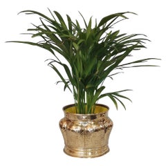 Planters, Cachepots and Jardinières