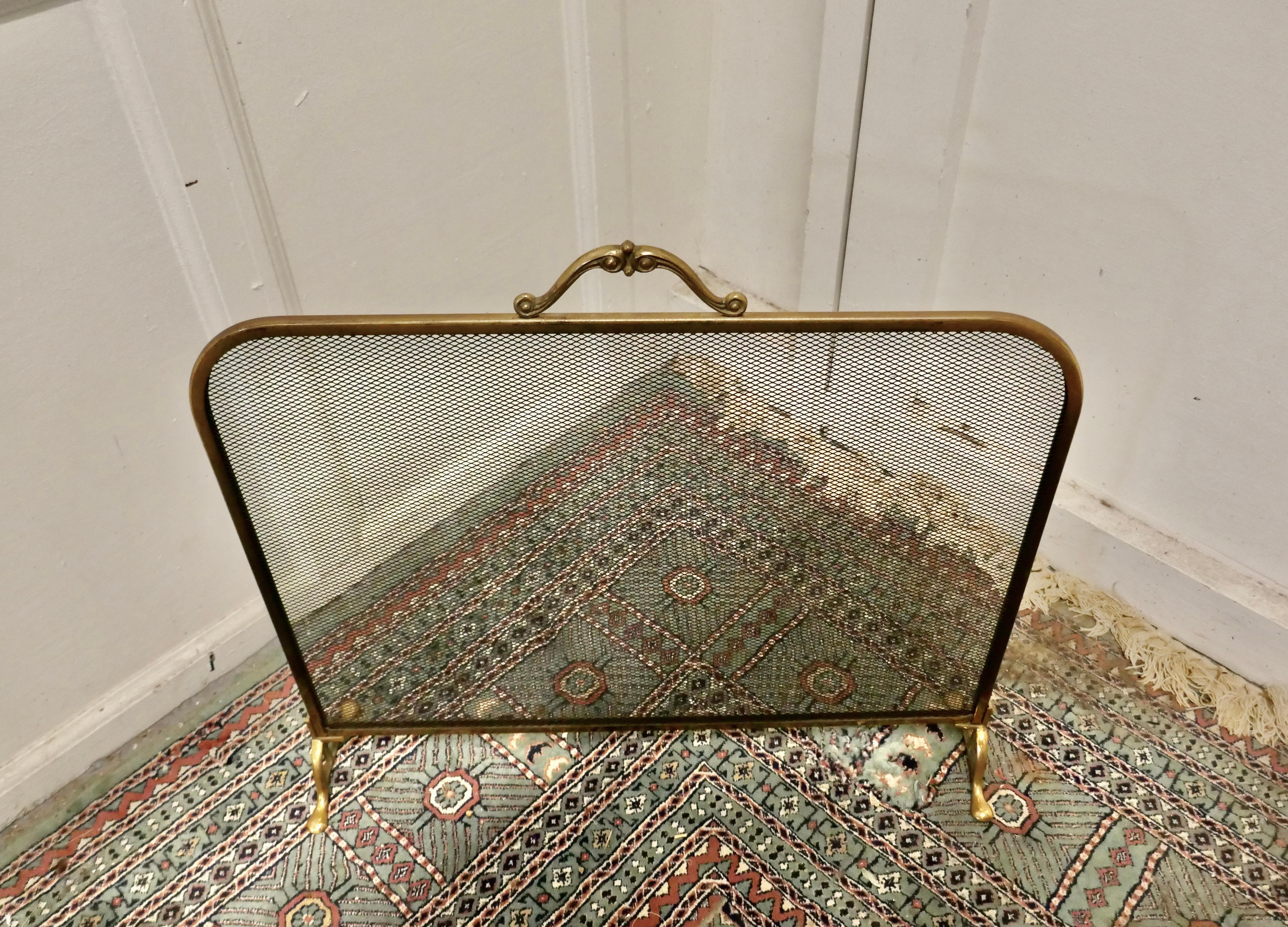 20th Century Arts and Crafts Brass and Iron Fire Guard, Spark Screen