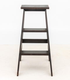 Arts and Crafts Style Library Step Ladder