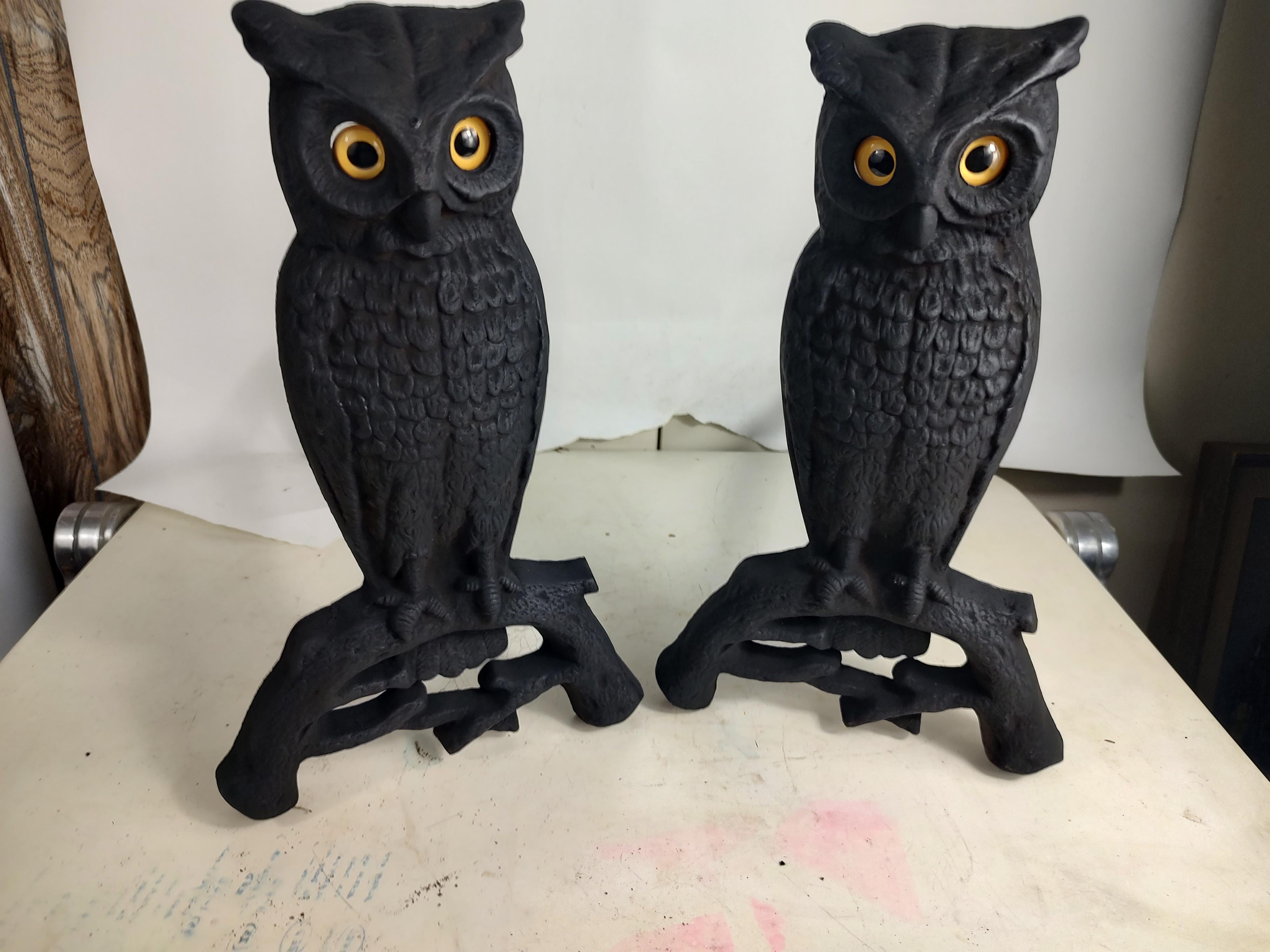 Arts & Crafts Cast Iron Owl Andirons with Glass Eyes For Sale 1