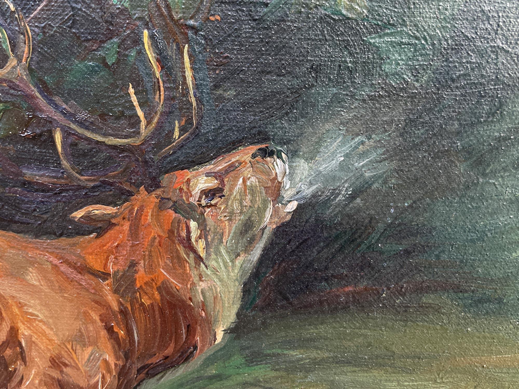 Artur Marcowicz – Deer 9