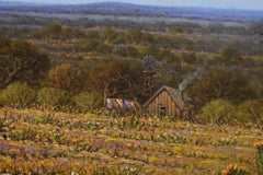 "SPRING MIX", UN MIX DI FIORI SELVATICI DEL TEXAS