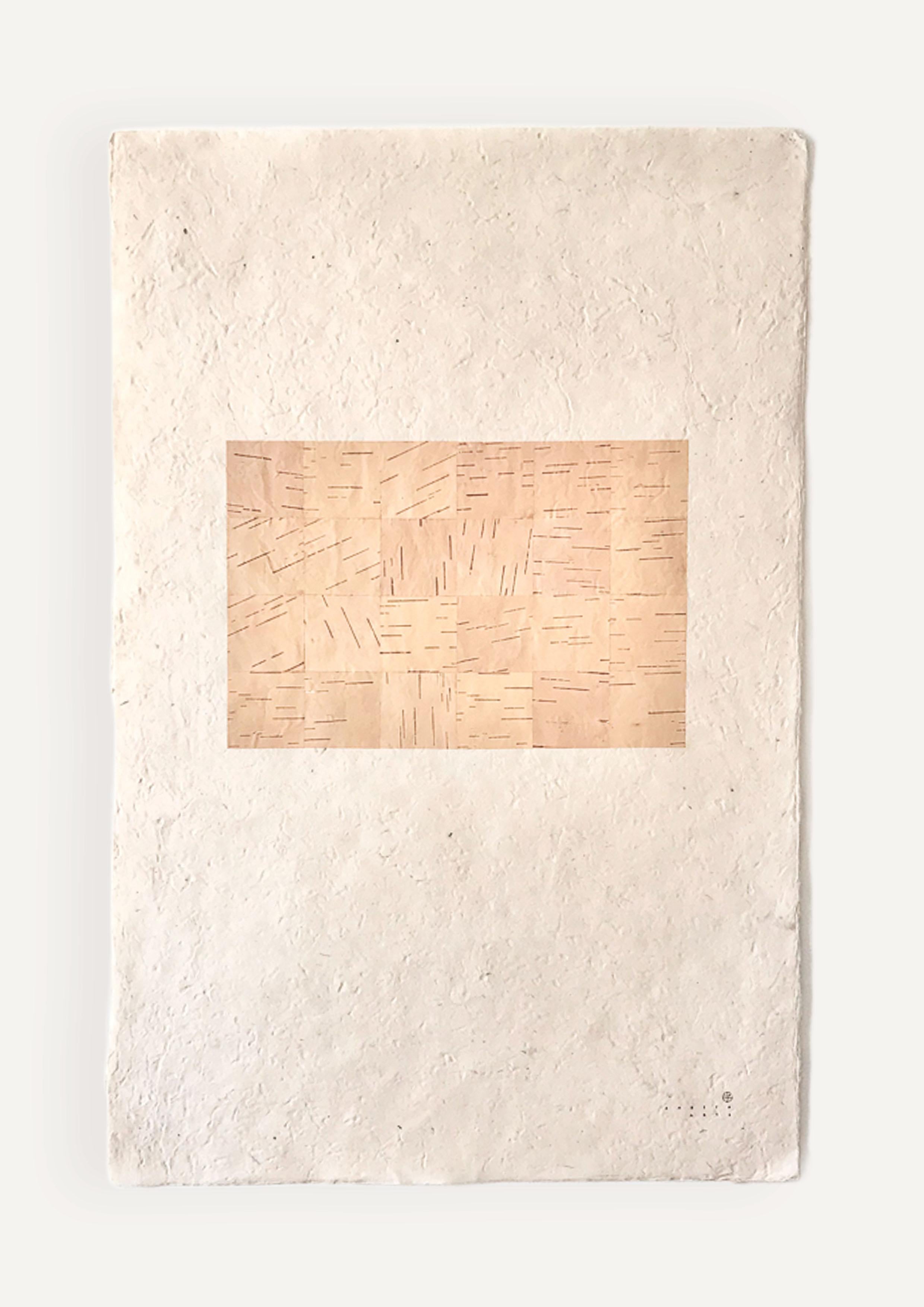 This artwork on handmade paper, by artist Sarita Arte, celebrates the organic qualities of Betula Papyrifera (paper birch). This species of birch, found only in North America, is unique for its bark which peels off in many layers revealing an