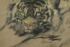 Artwork Tiger Ludwig Heinrich Jungnickel Carbon Watercolor on Paper circa 1930