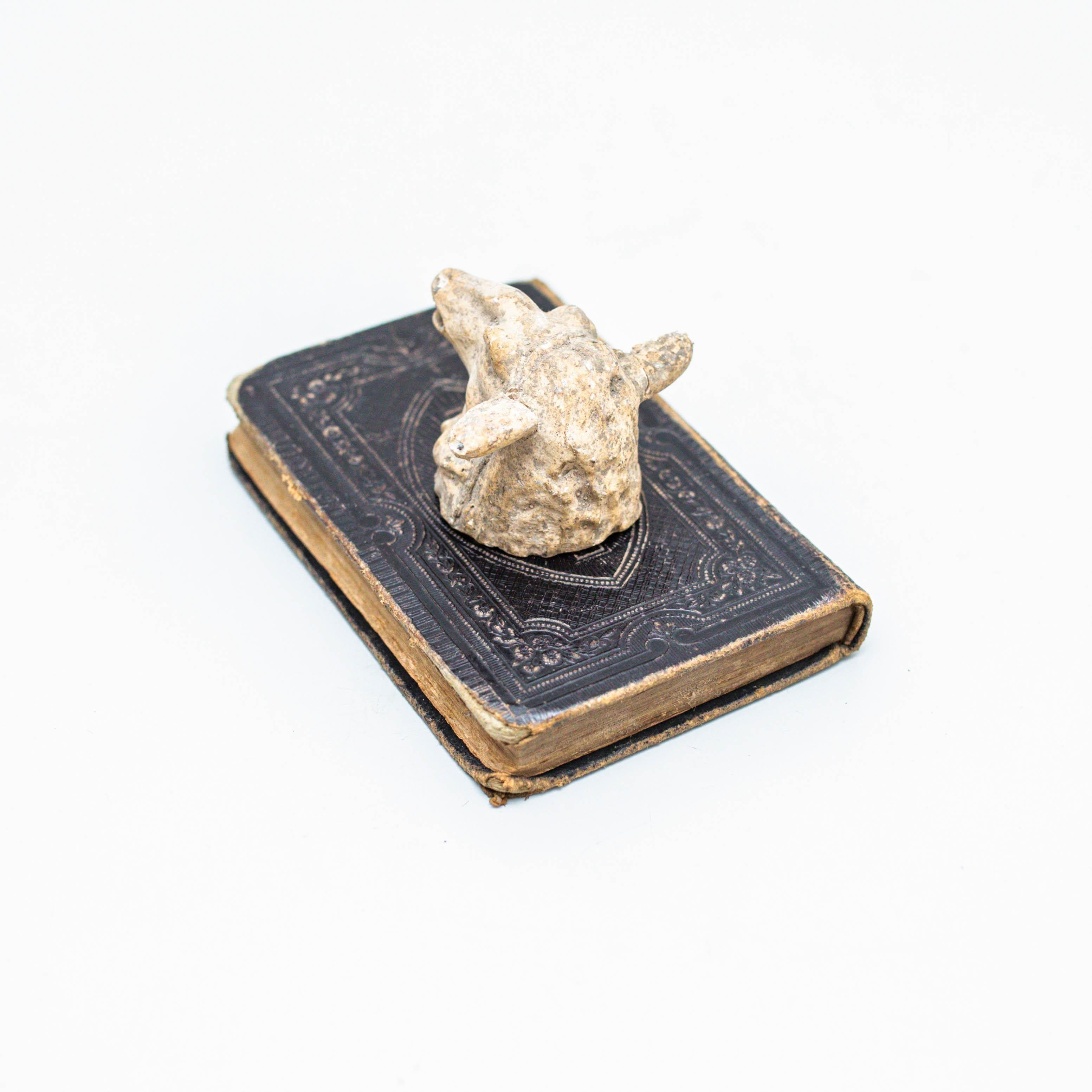 Opera d'arte con vecchio libro e scultura di testa di animale misterioso, circa 1990 In condizioni buone in vendita a Barcelona, ES